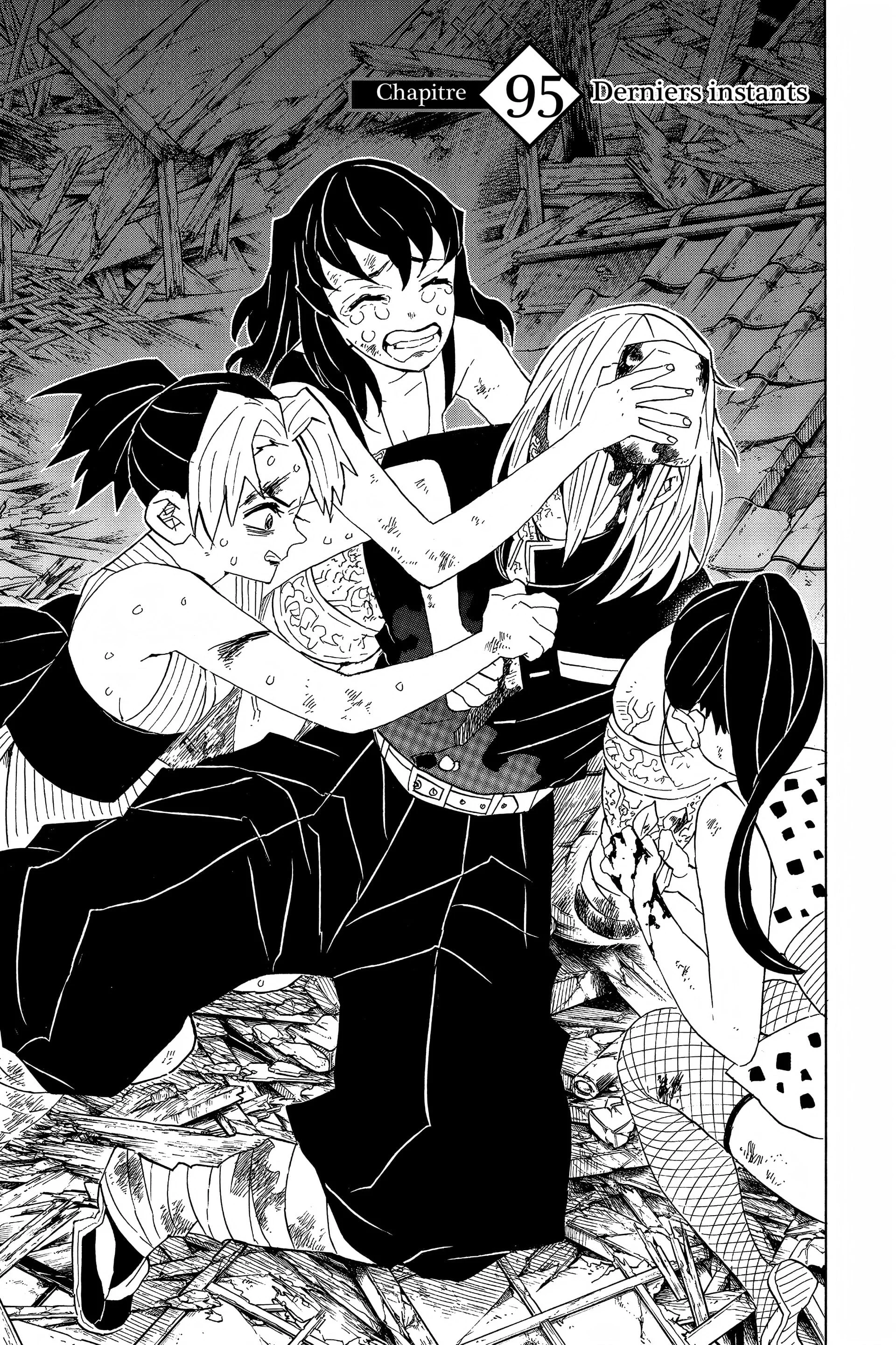 Read Demon Slayer FR Manga Online