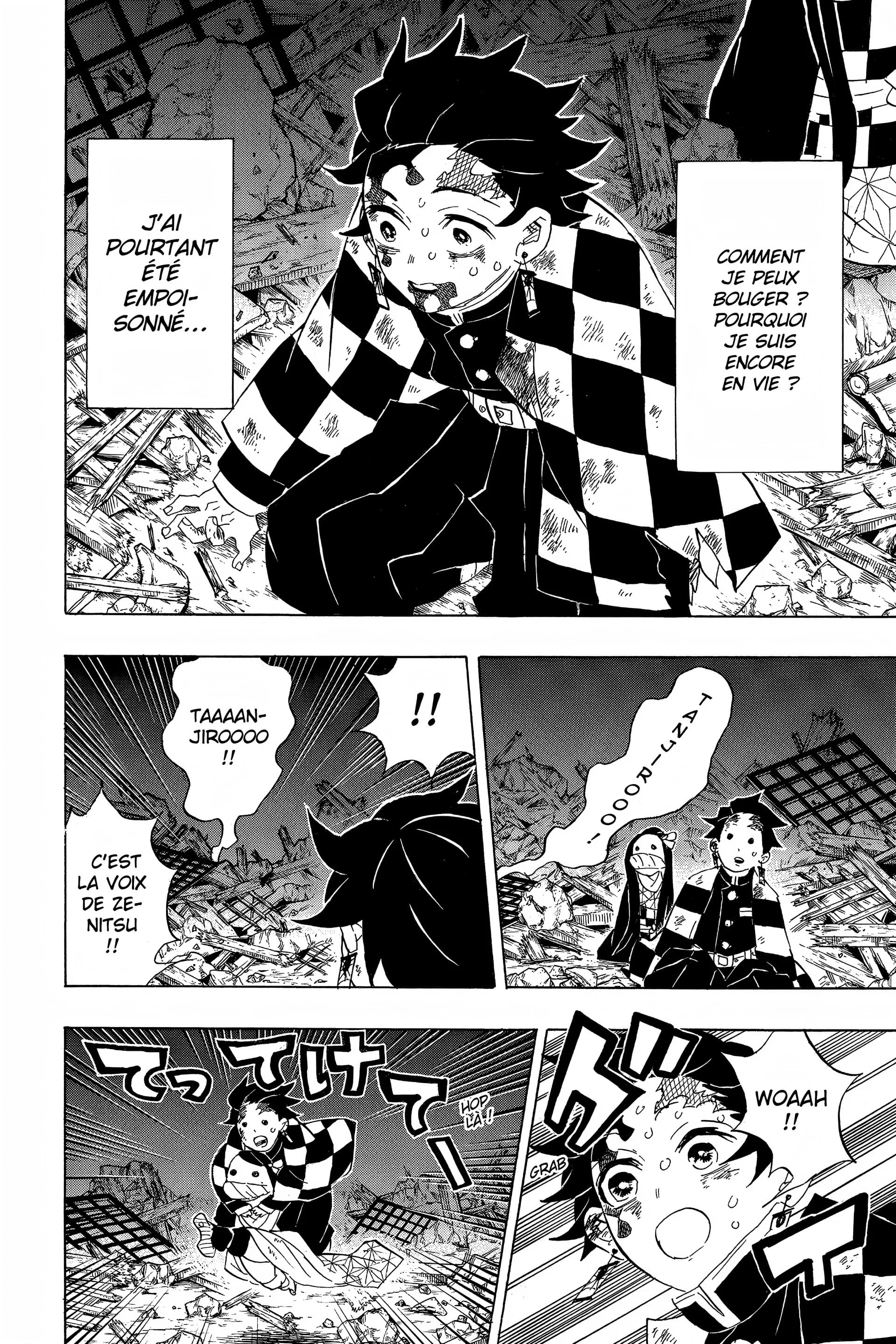 Read Demon Slayer FR Manga Online