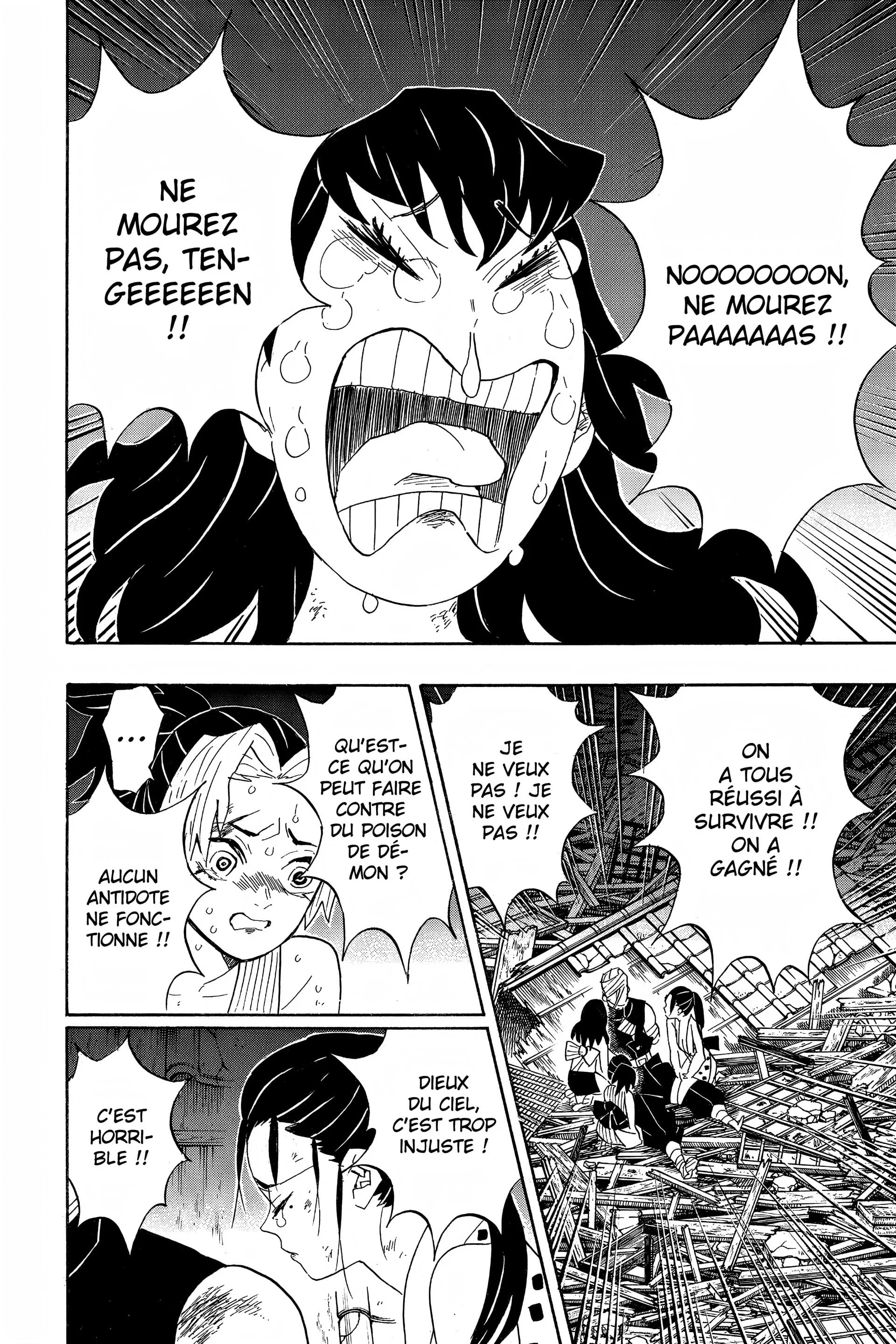 Read Demon Slayer FR Manga Online