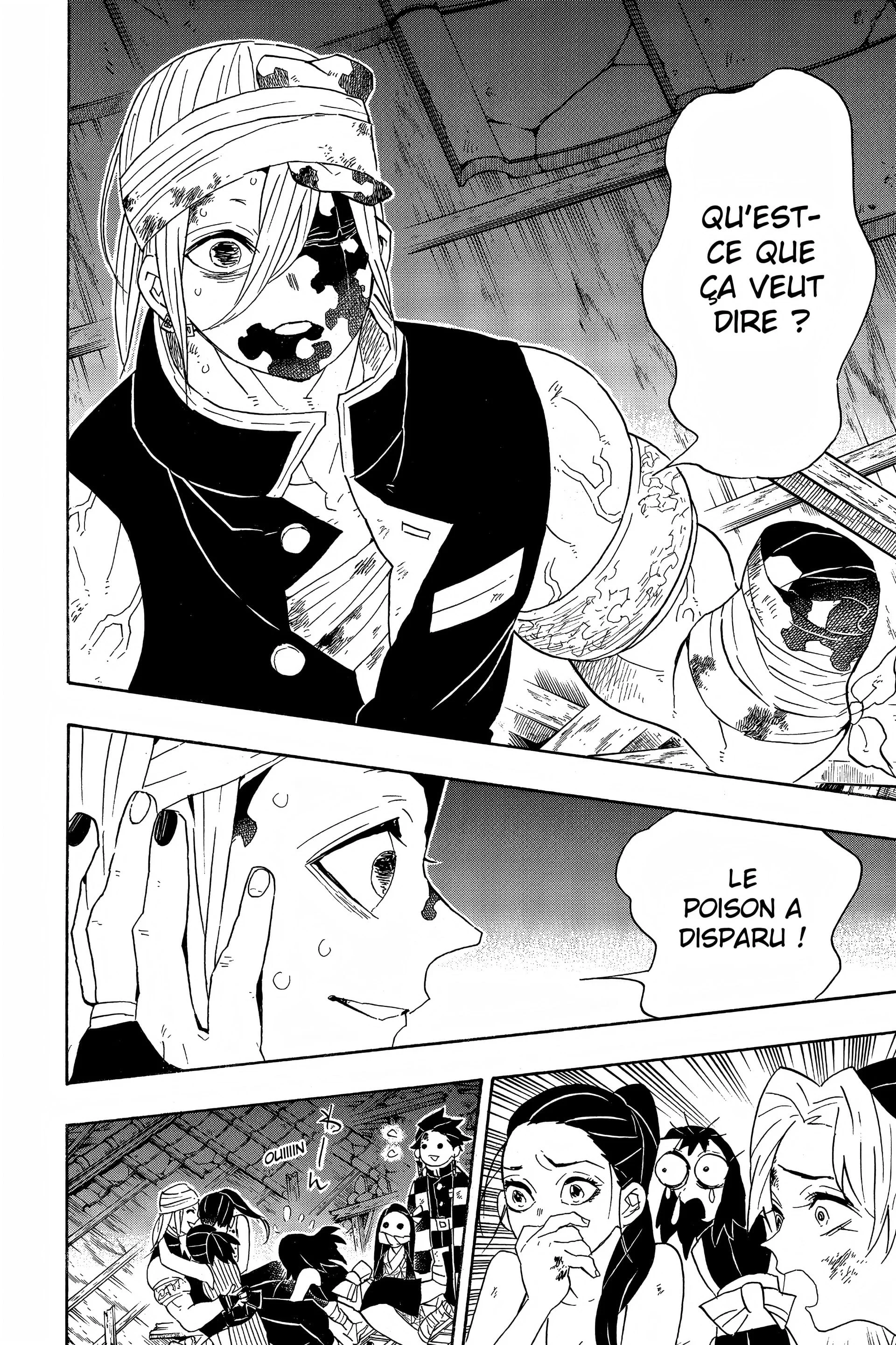 Read Demon Slayer FR Manga Online