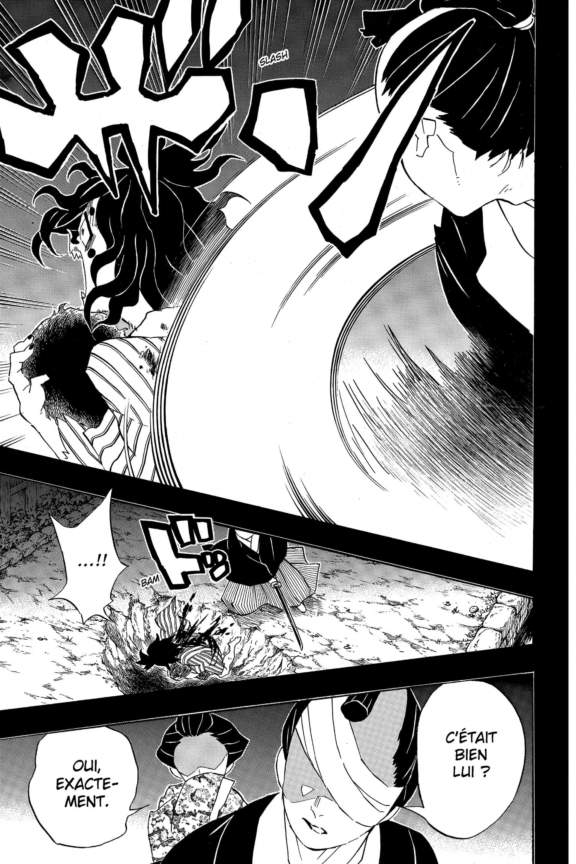 Read Demon Slayer FR Manga Online