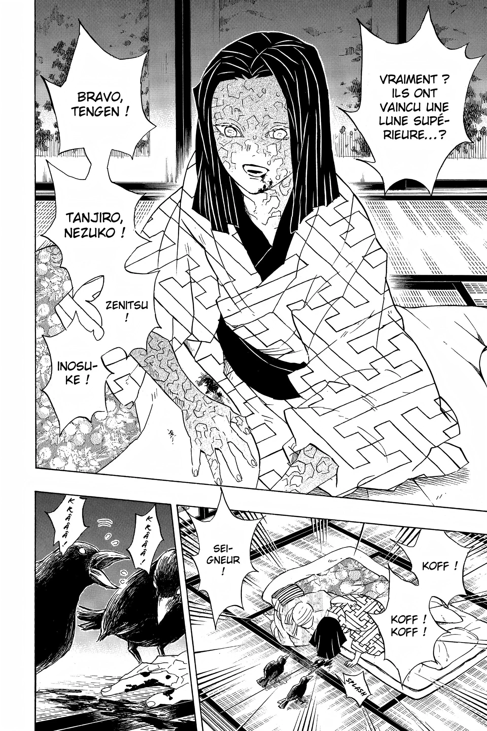 Read Demon Slayer FR Manga Online