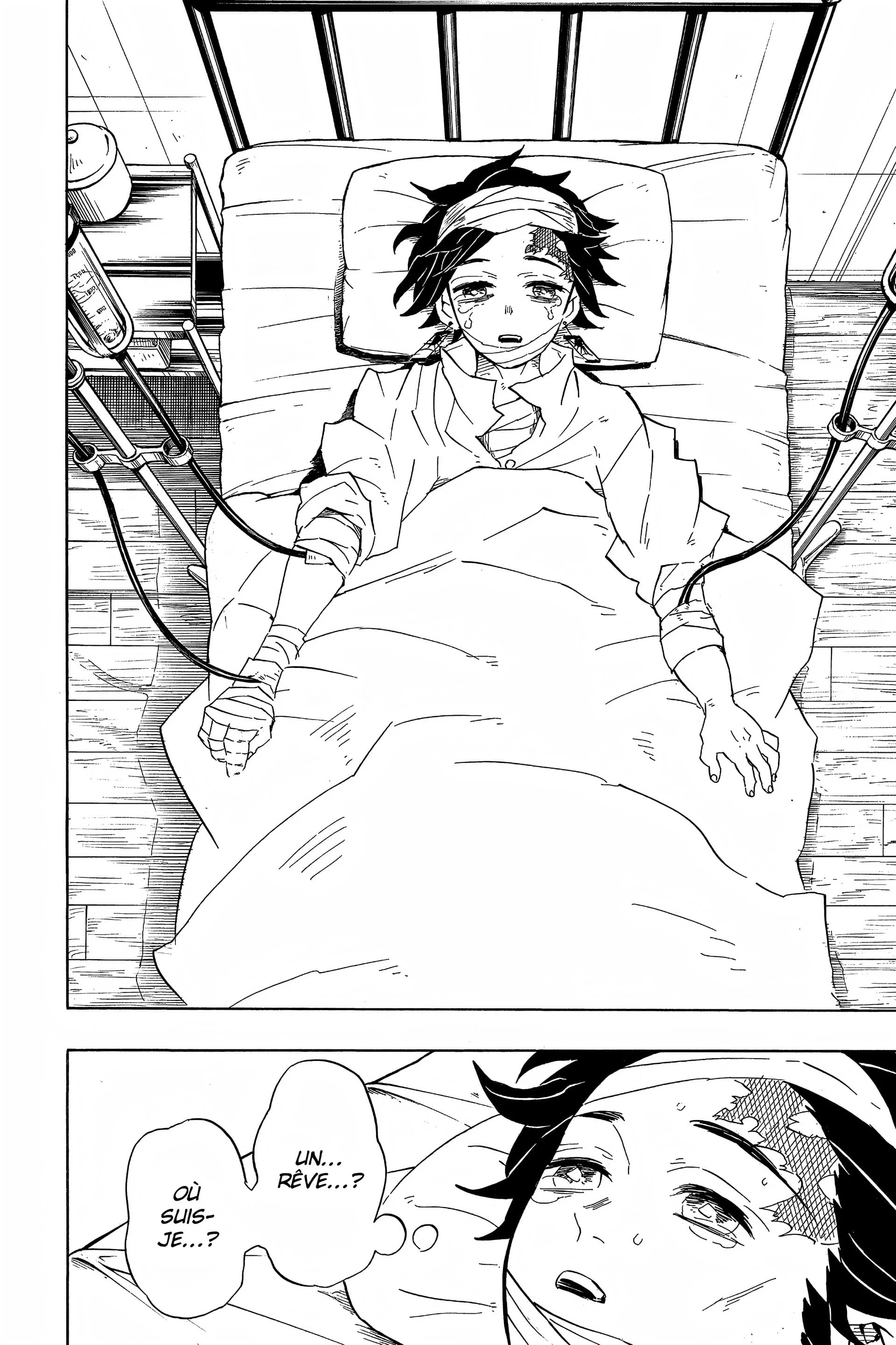 Read Demon Slayer FR Manga Online