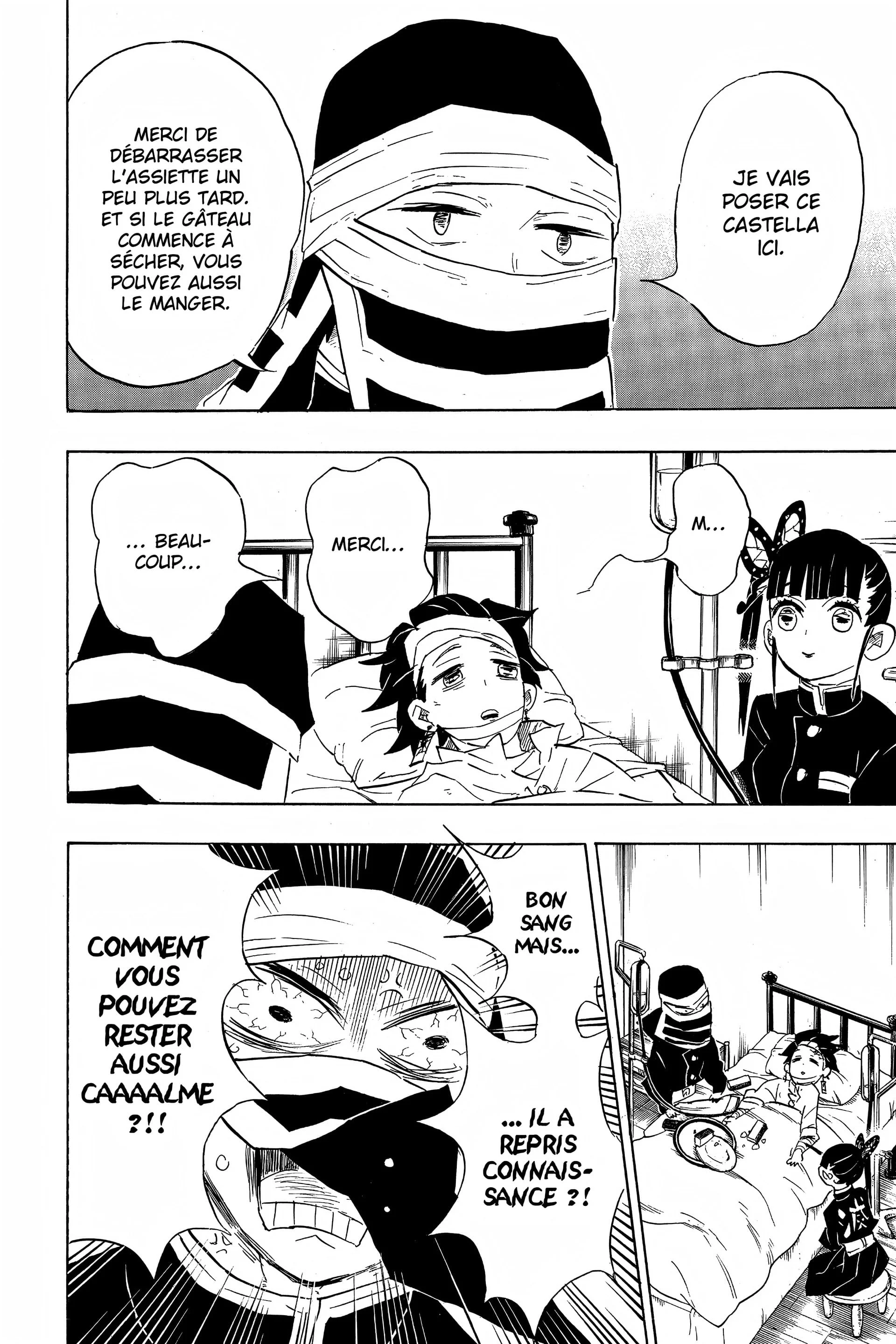 Read Demon Slayer FR Manga Online