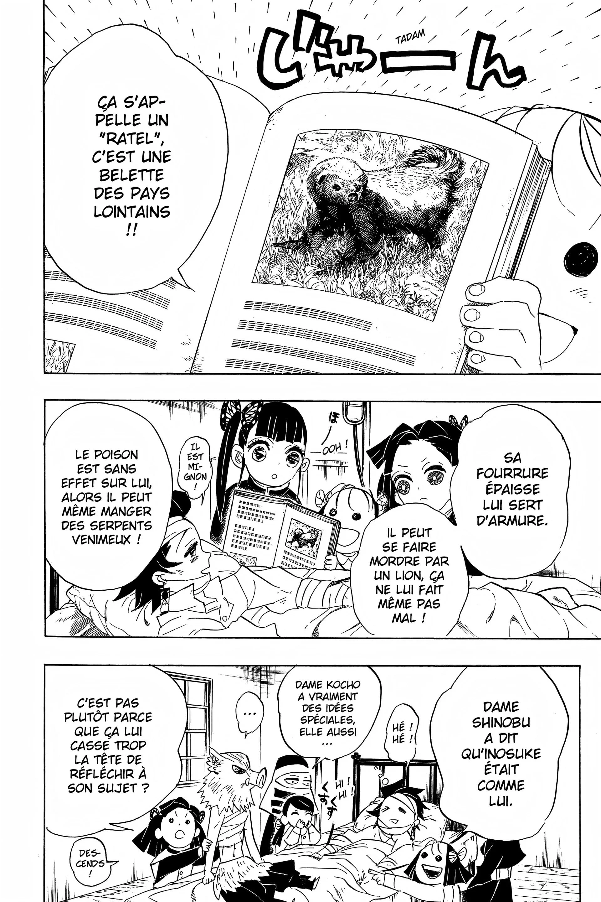 Read Demon Slayer FR Manga Online