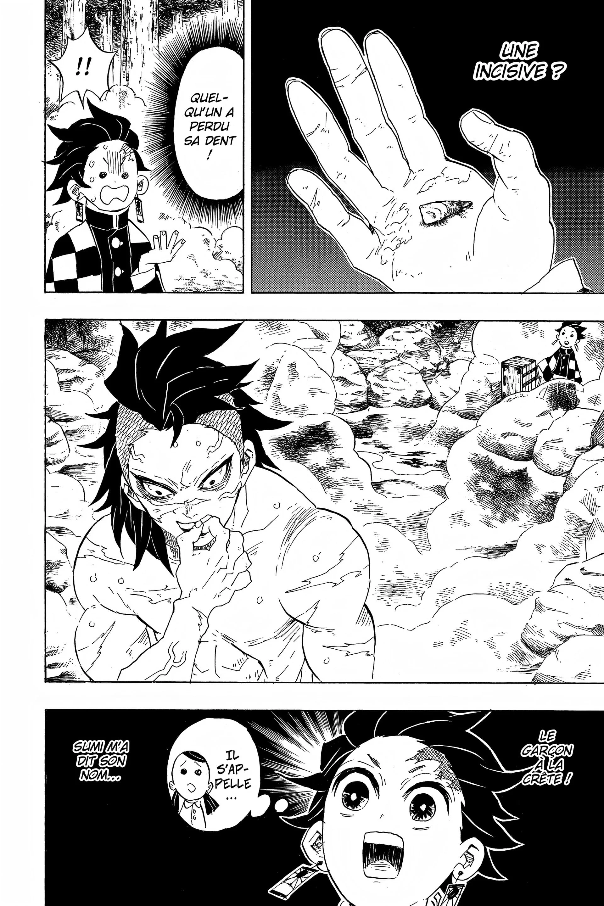 Read Demon Slayer FR Manga Online