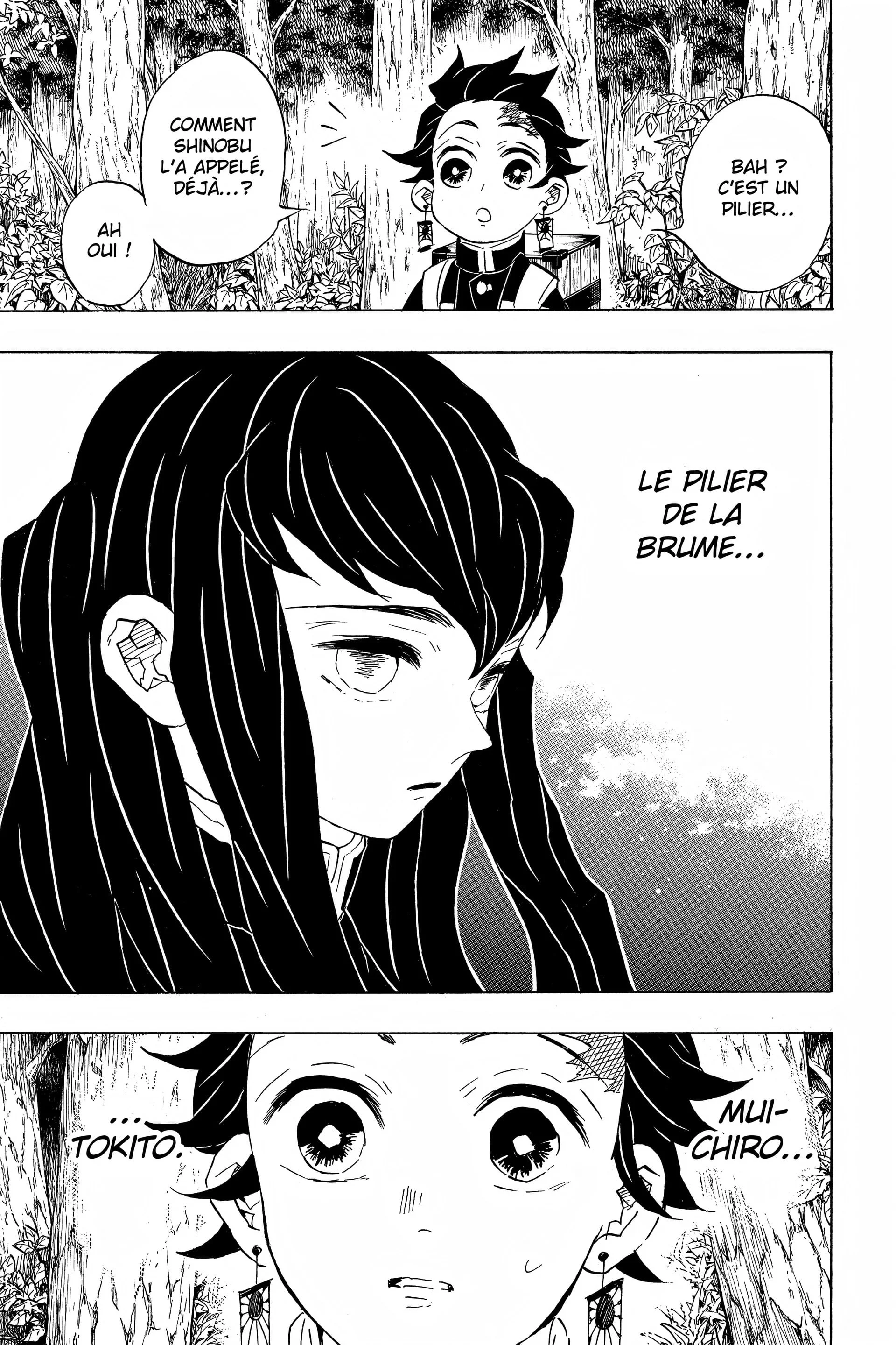 Read Demon Slayer FR Manga Online