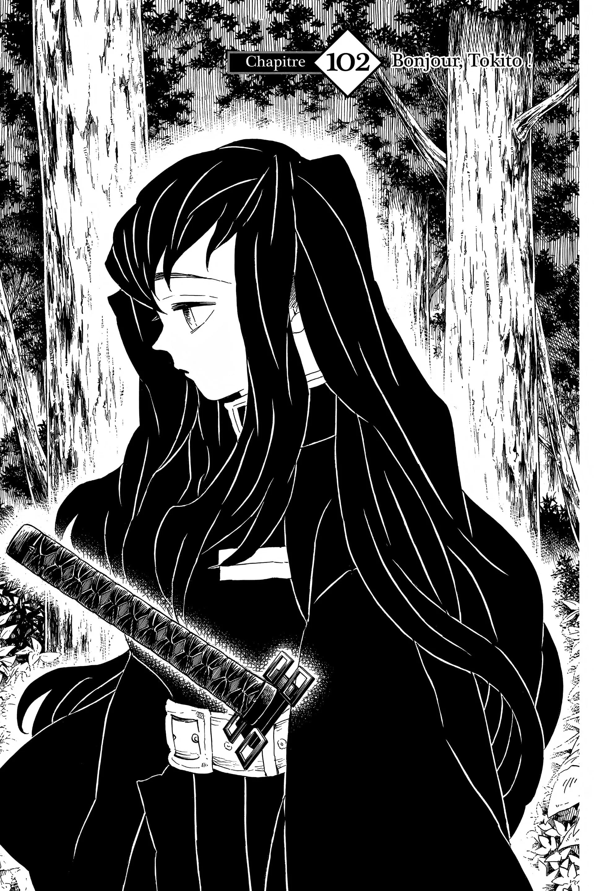 Read Demon Slayer FR Manga Online