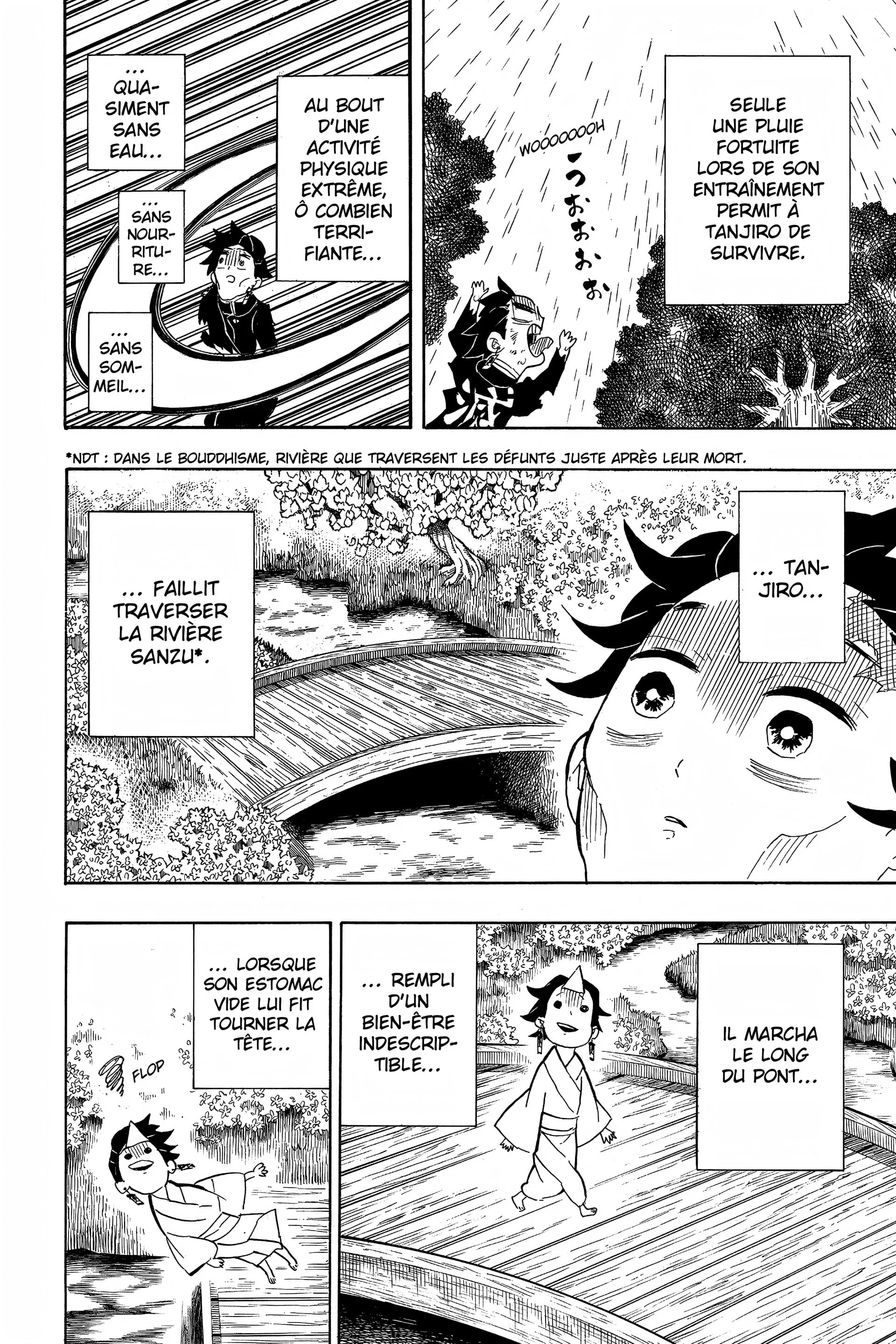 Read Demon Slayer FR Manga Online