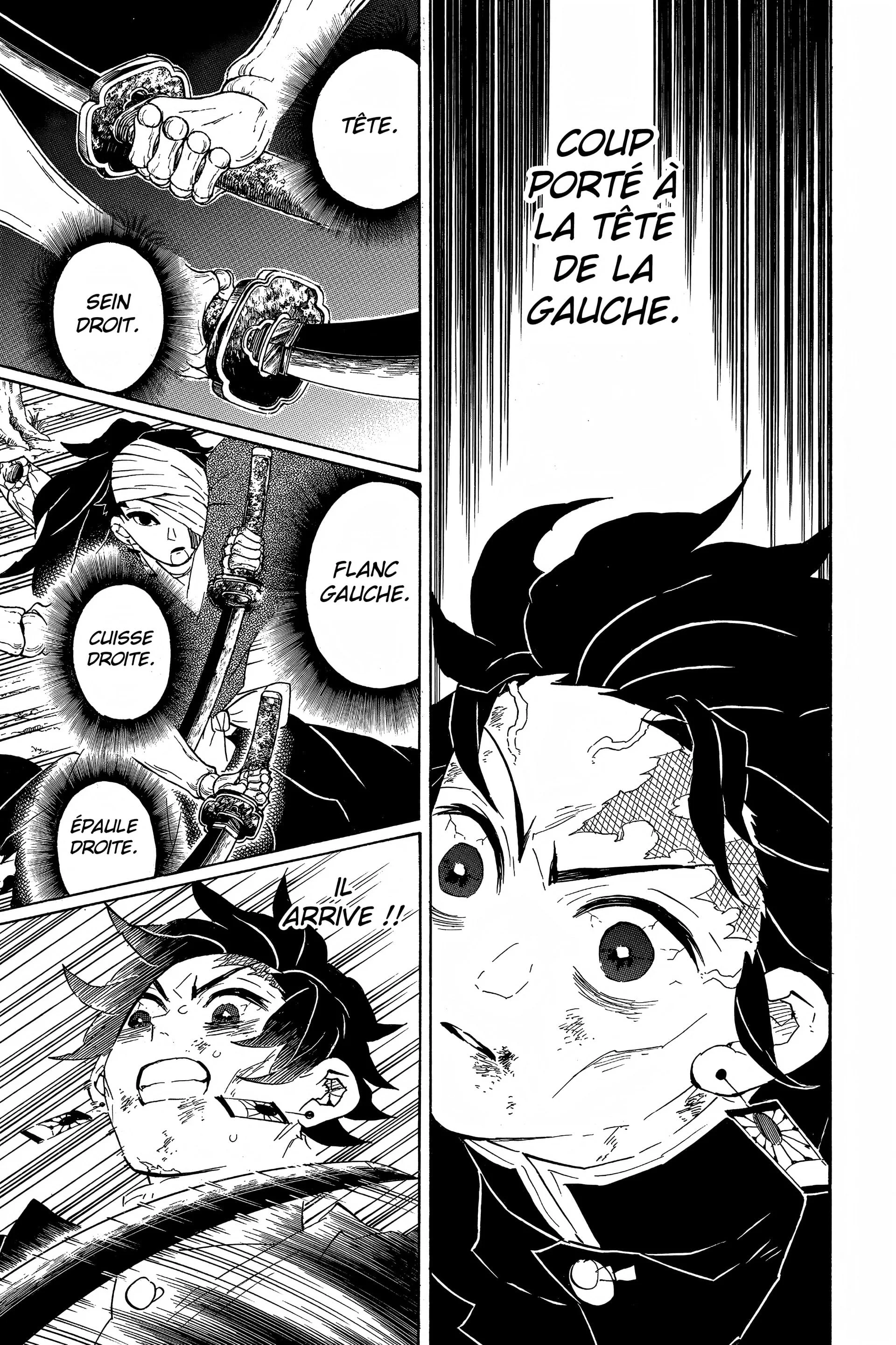 Read Demon Slayer FR Manga Online