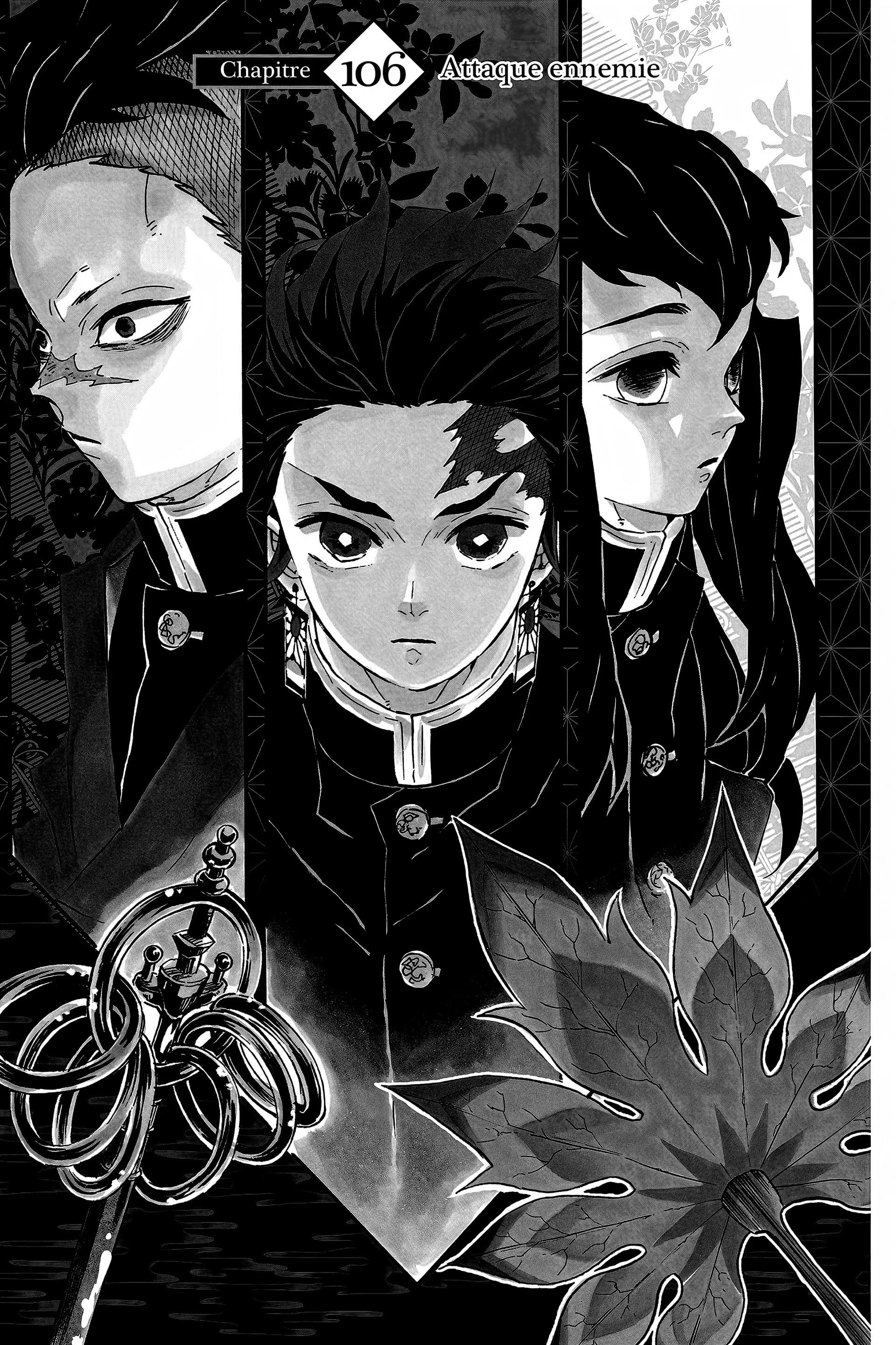 Read Demon Slayer FR Manga Online