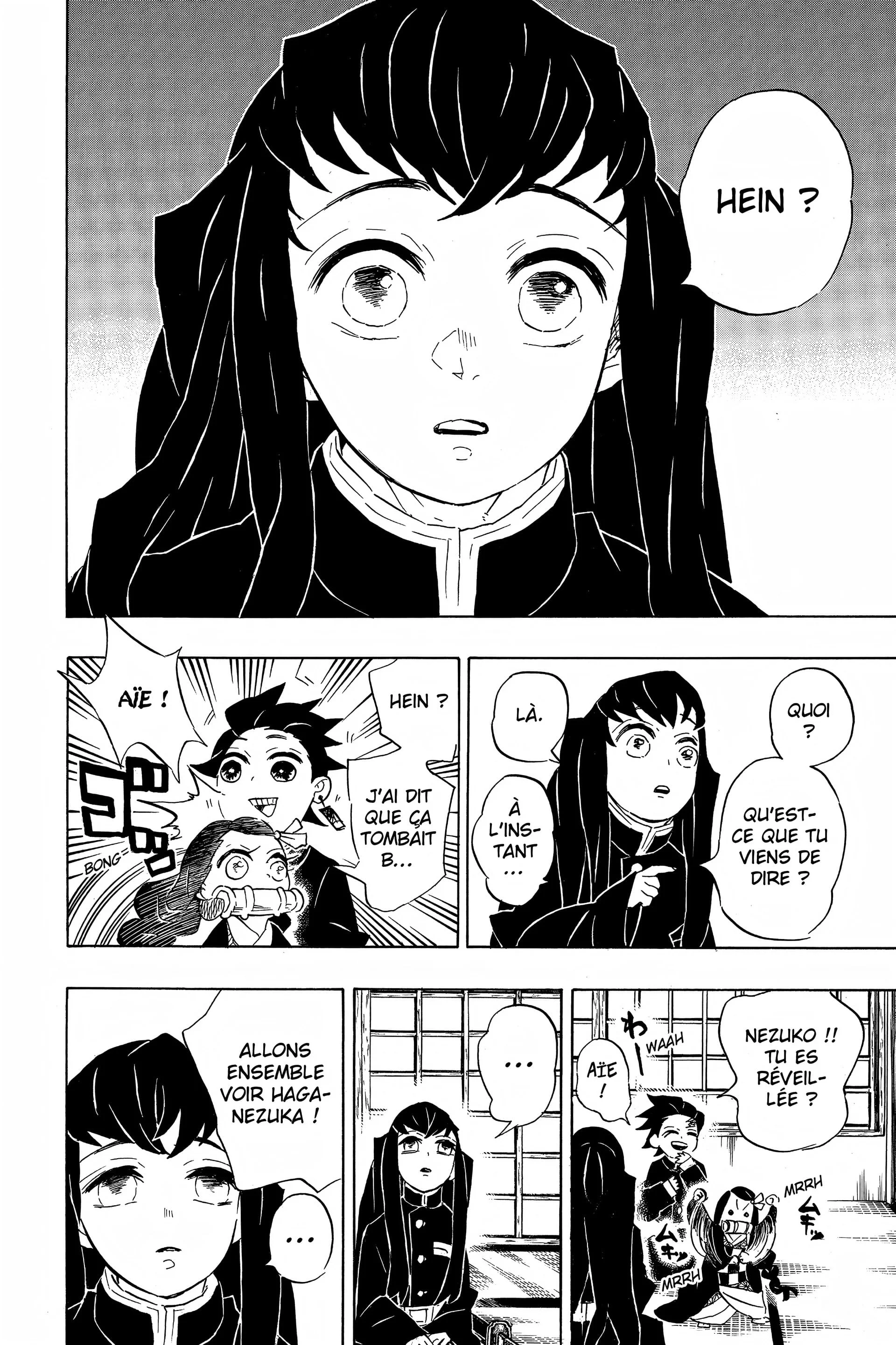 Read Demon Slayer FR Manga Online