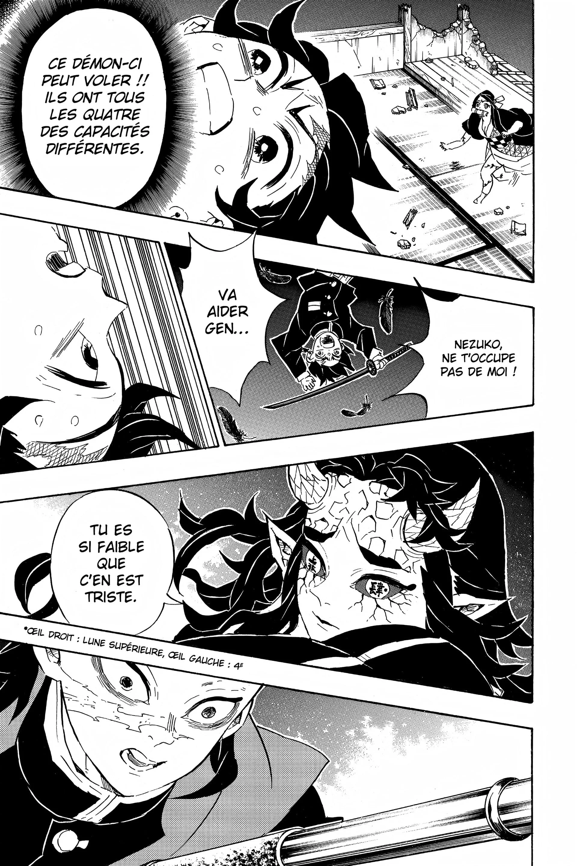 Read Demon Slayer FR Manga Online