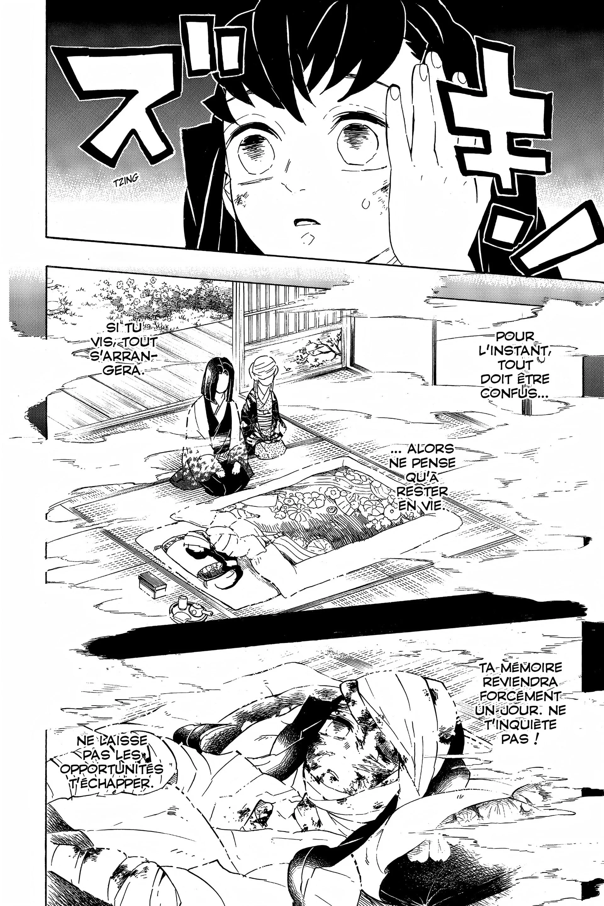 Read Demon Slayer FR Manga Online