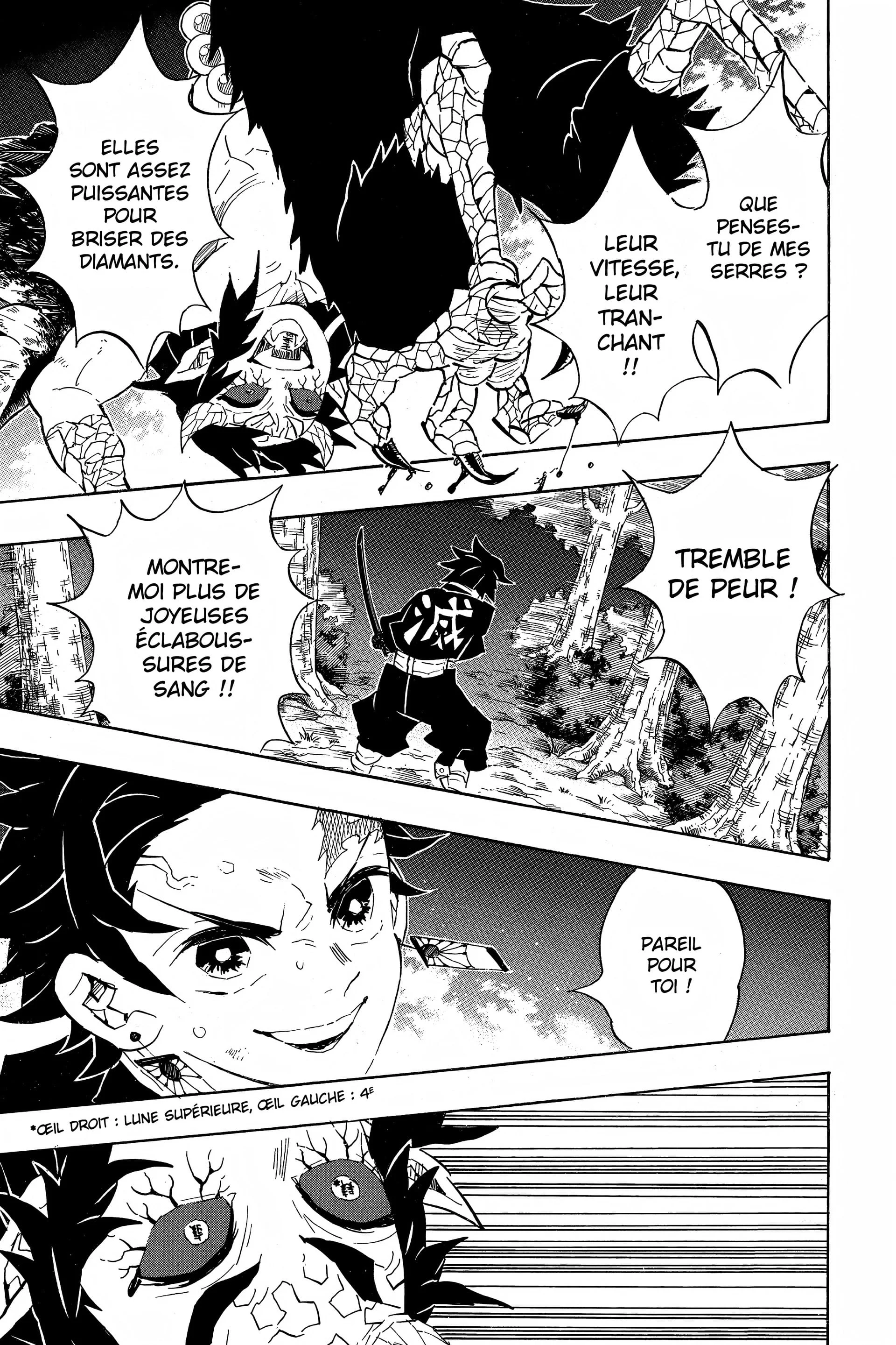 Read Demon Slayer FR Manga Online