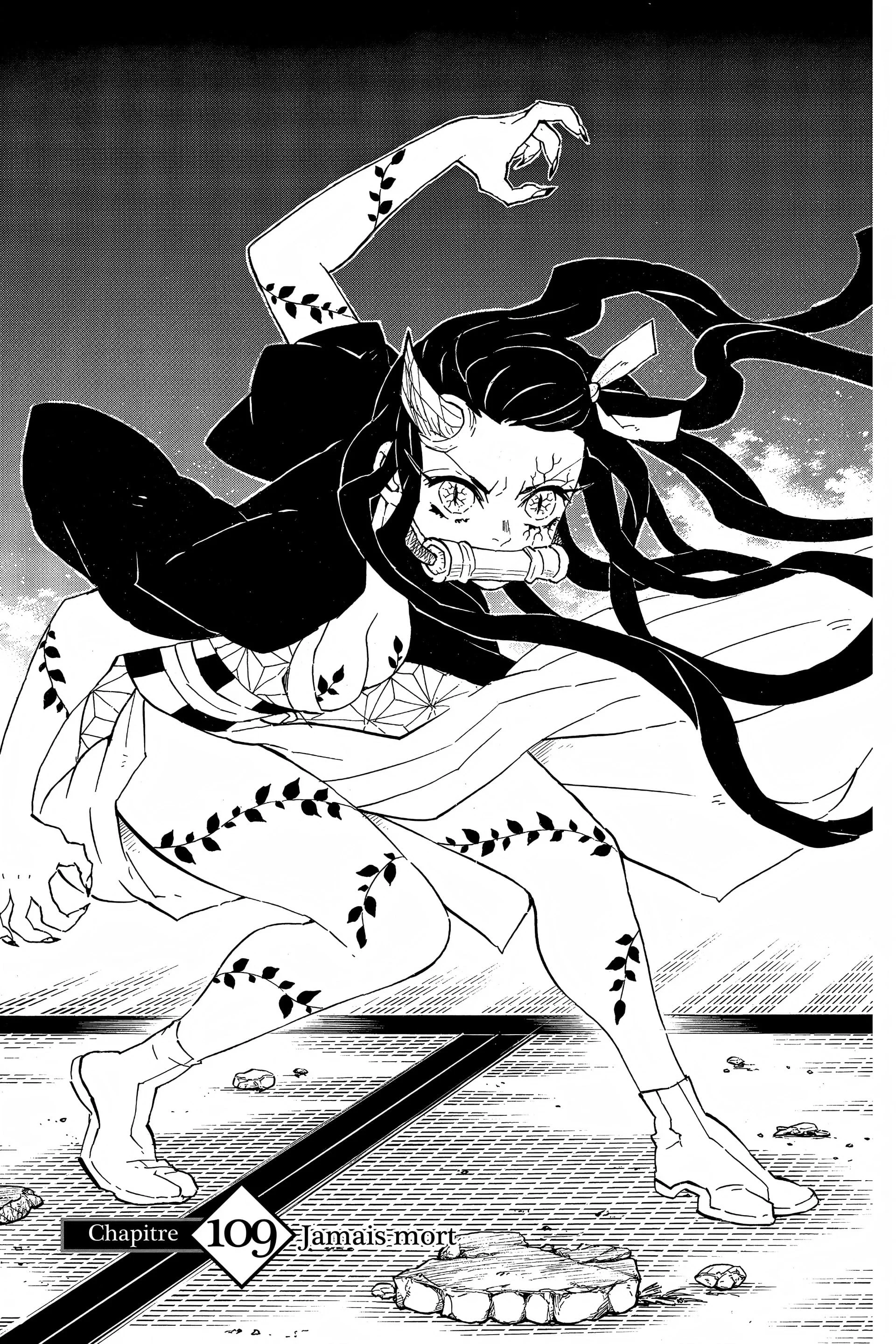 Read Demon Slayer FR Manga Online