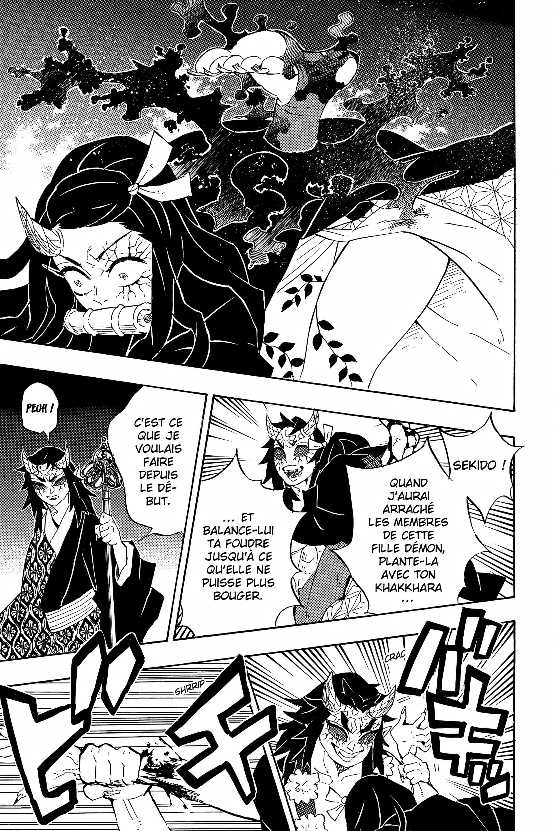 Read Demon Slayer FR Manga Online