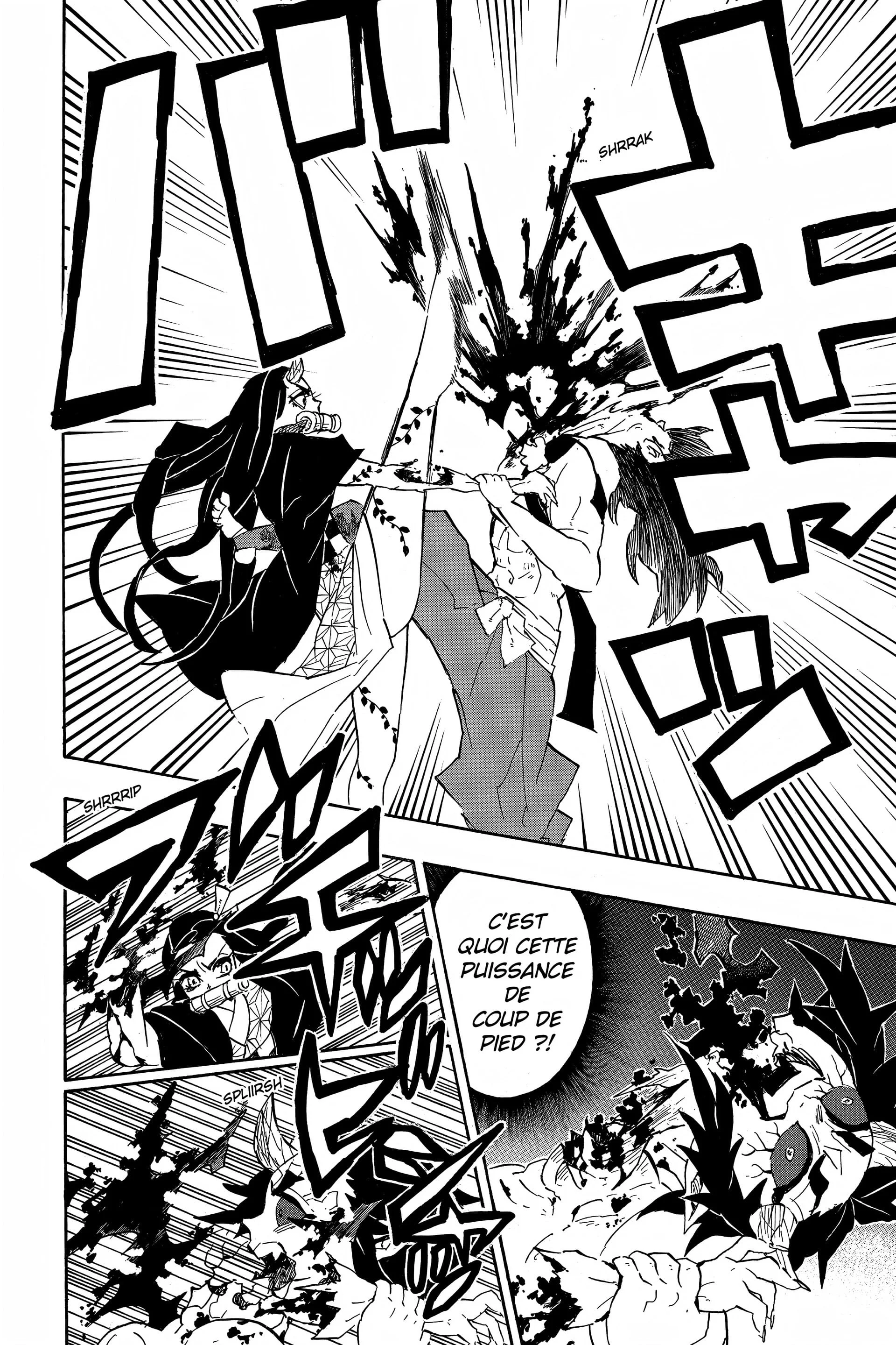 Read Demon Slayer FR Manga Online