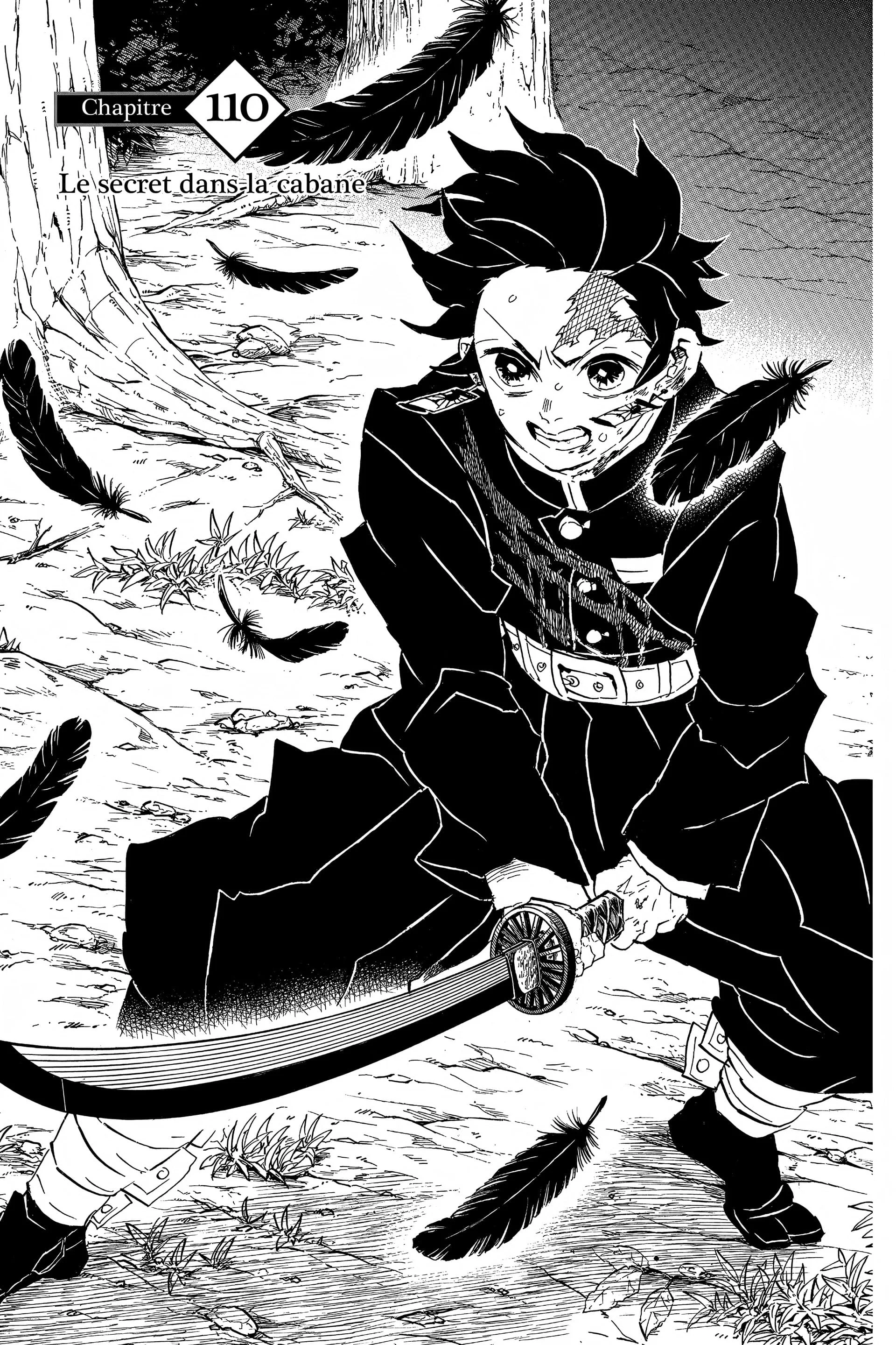 Read Demon Slayer FR Manga Online