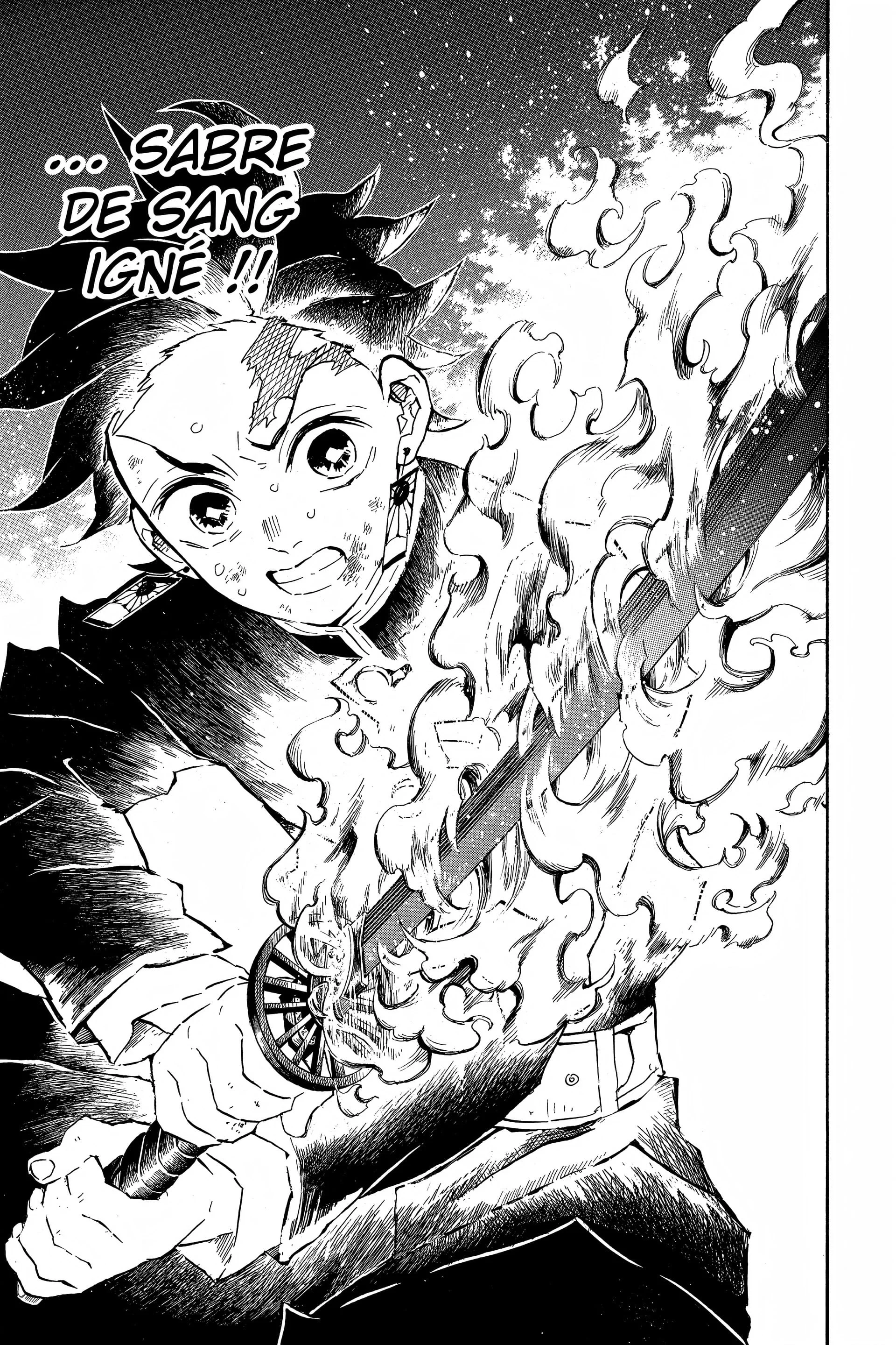 Read Demon Slayer FR Manga Online