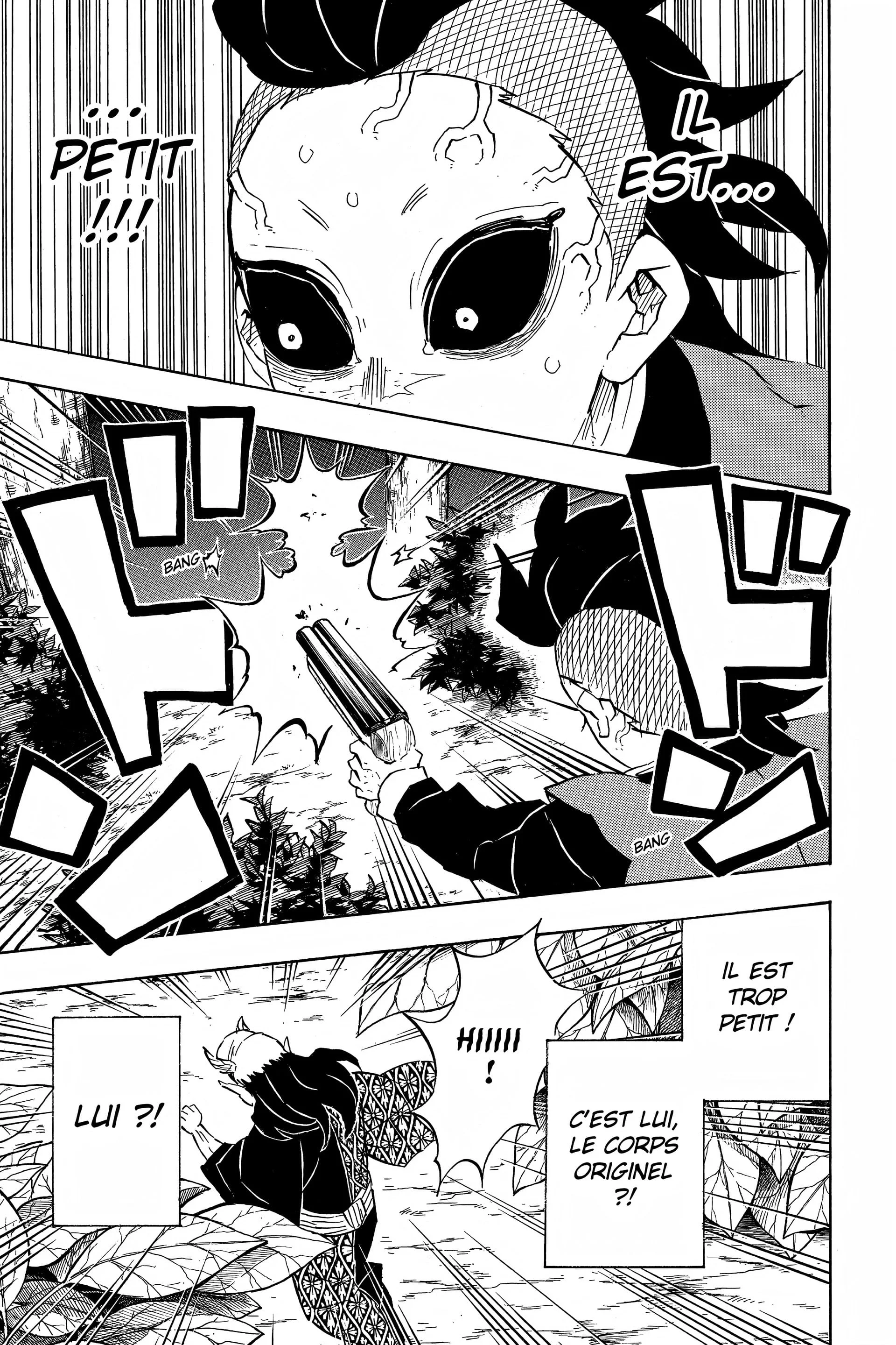 Read Demon Slayer FR Manga Online