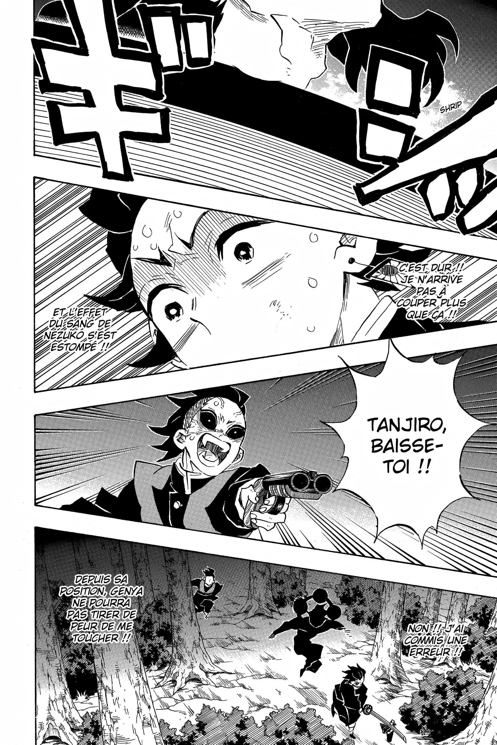 Read Demon Slayer FR Manga Online