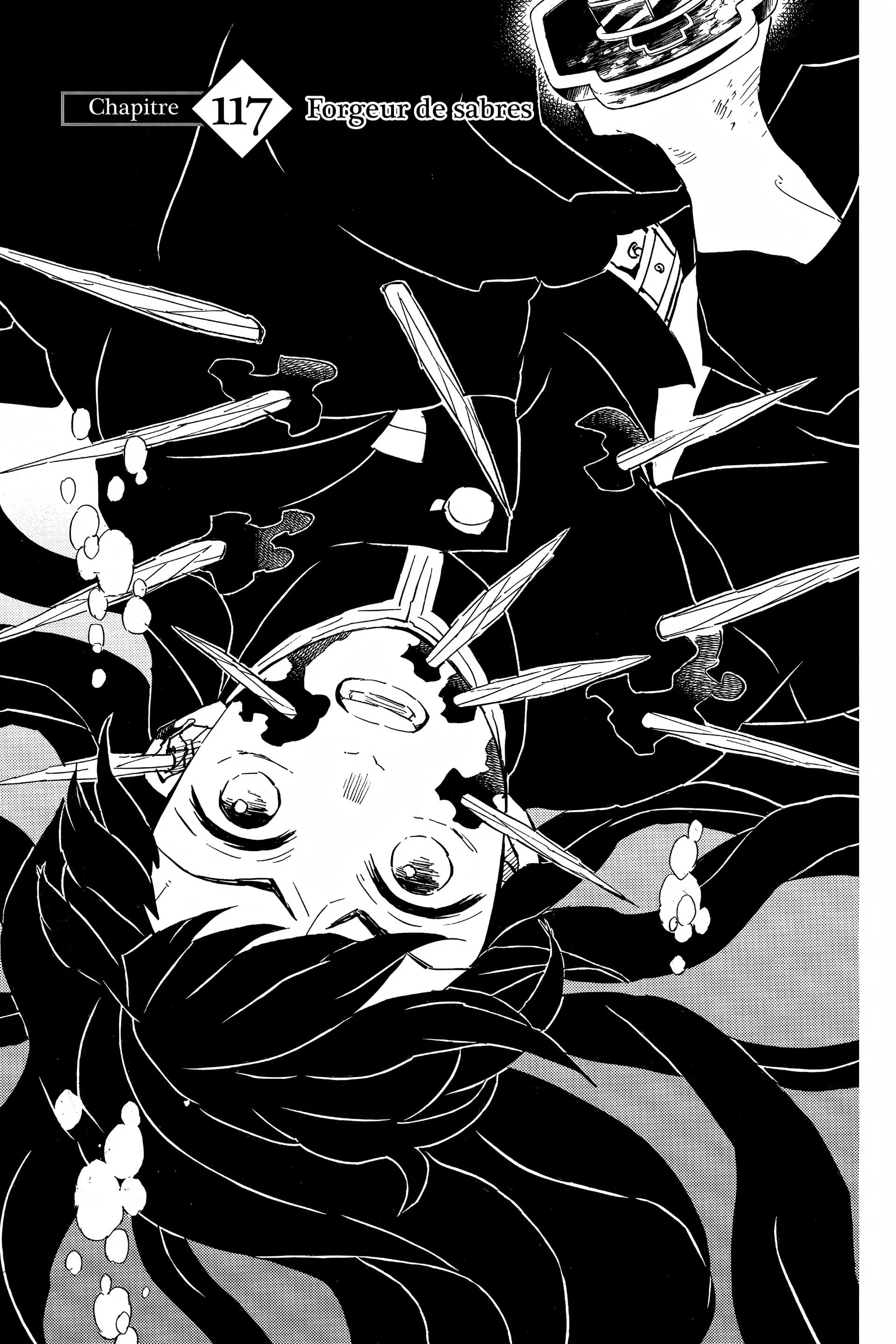 Read Demon Slayer FR Manga Online