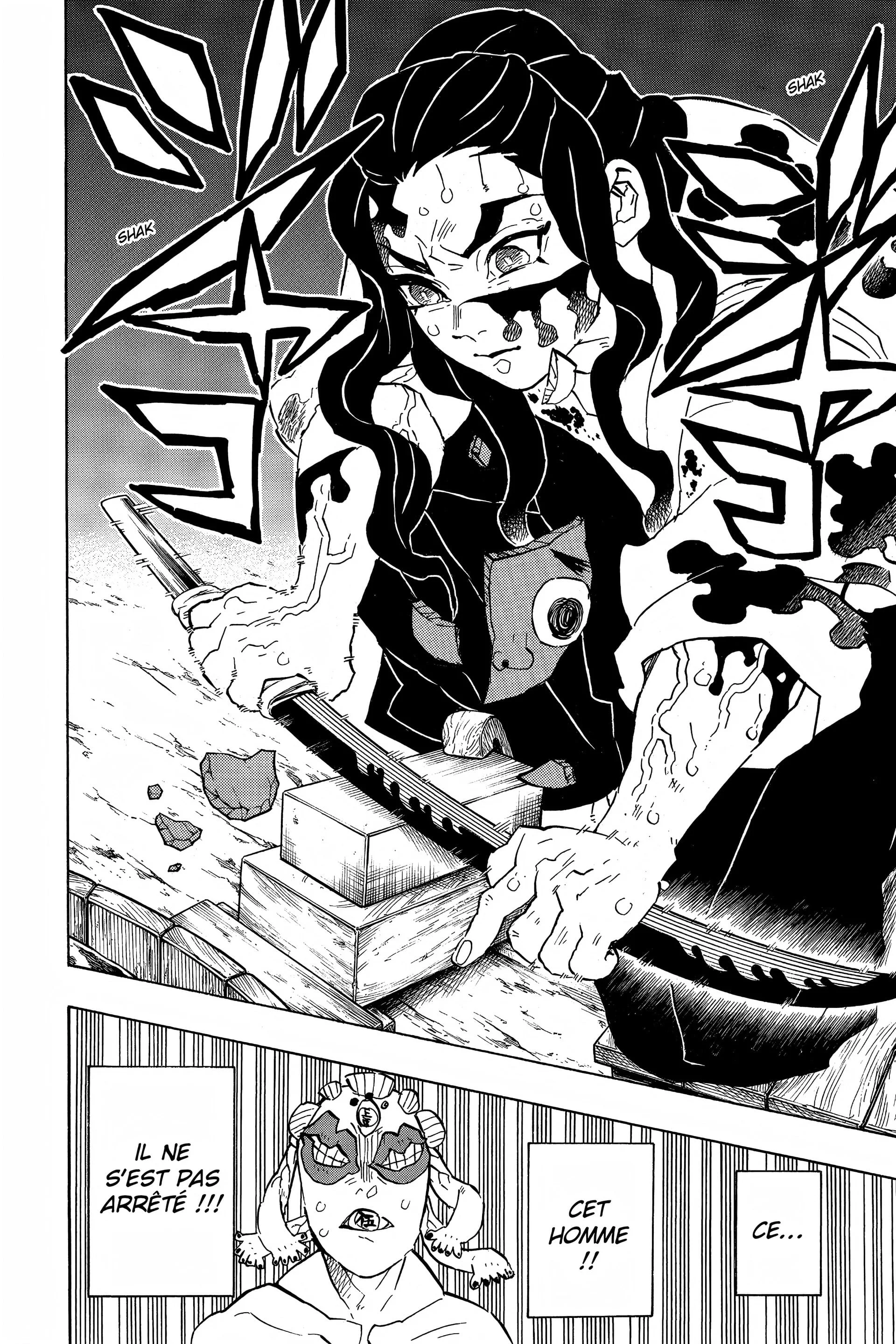 Read Demon Slayer FR Manga Online