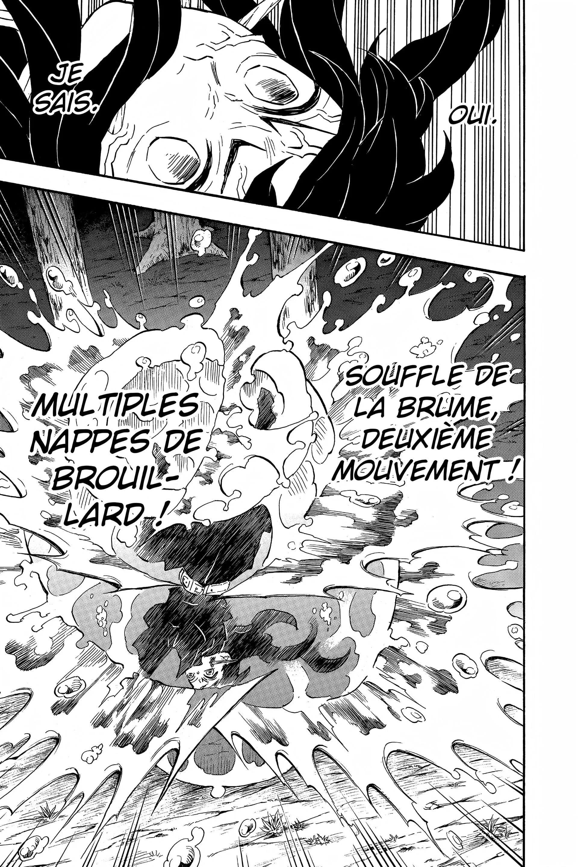 Read Demon Slayer FR Manga Online