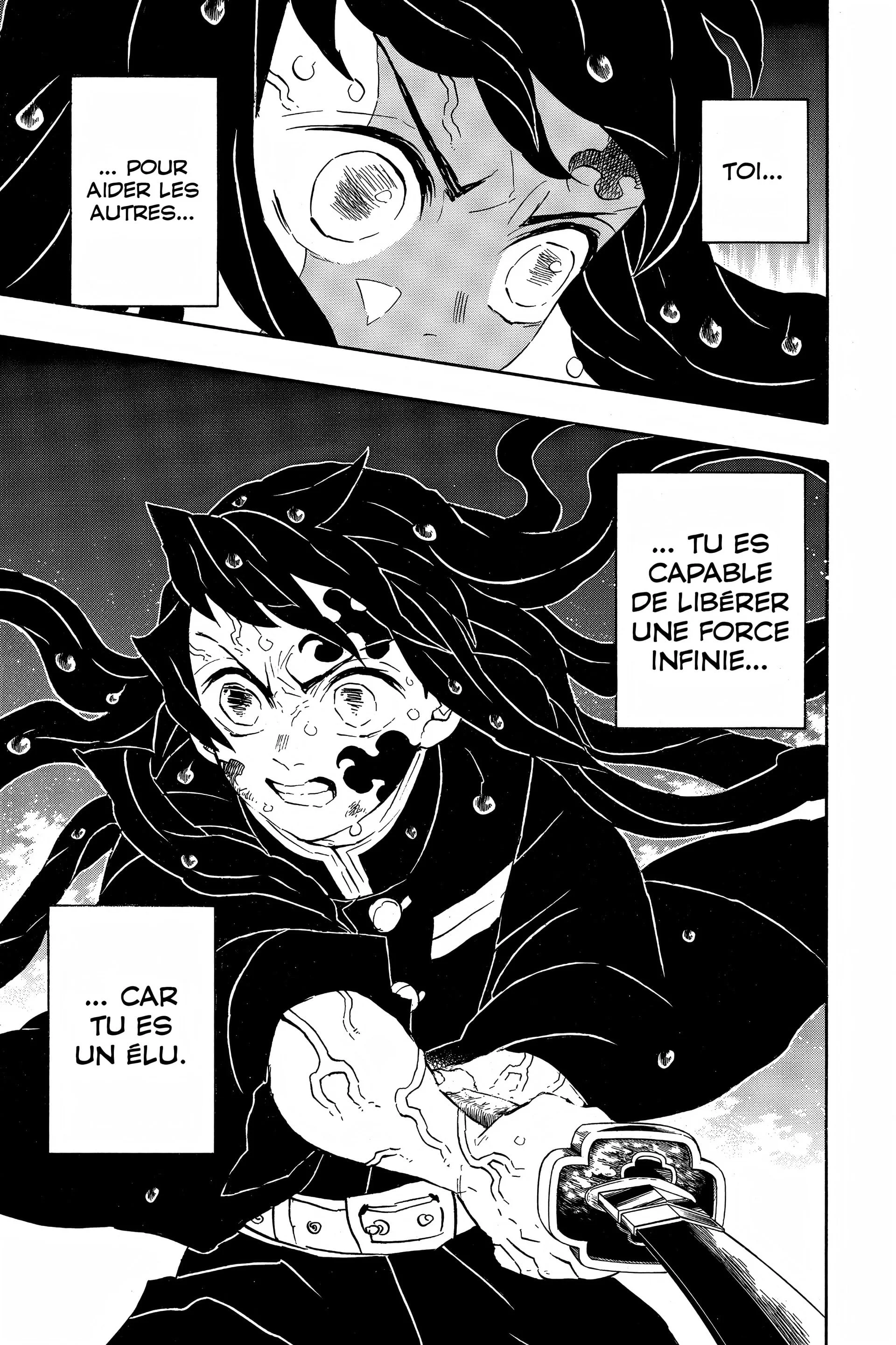 Read Demon Slayer FR Manga Online