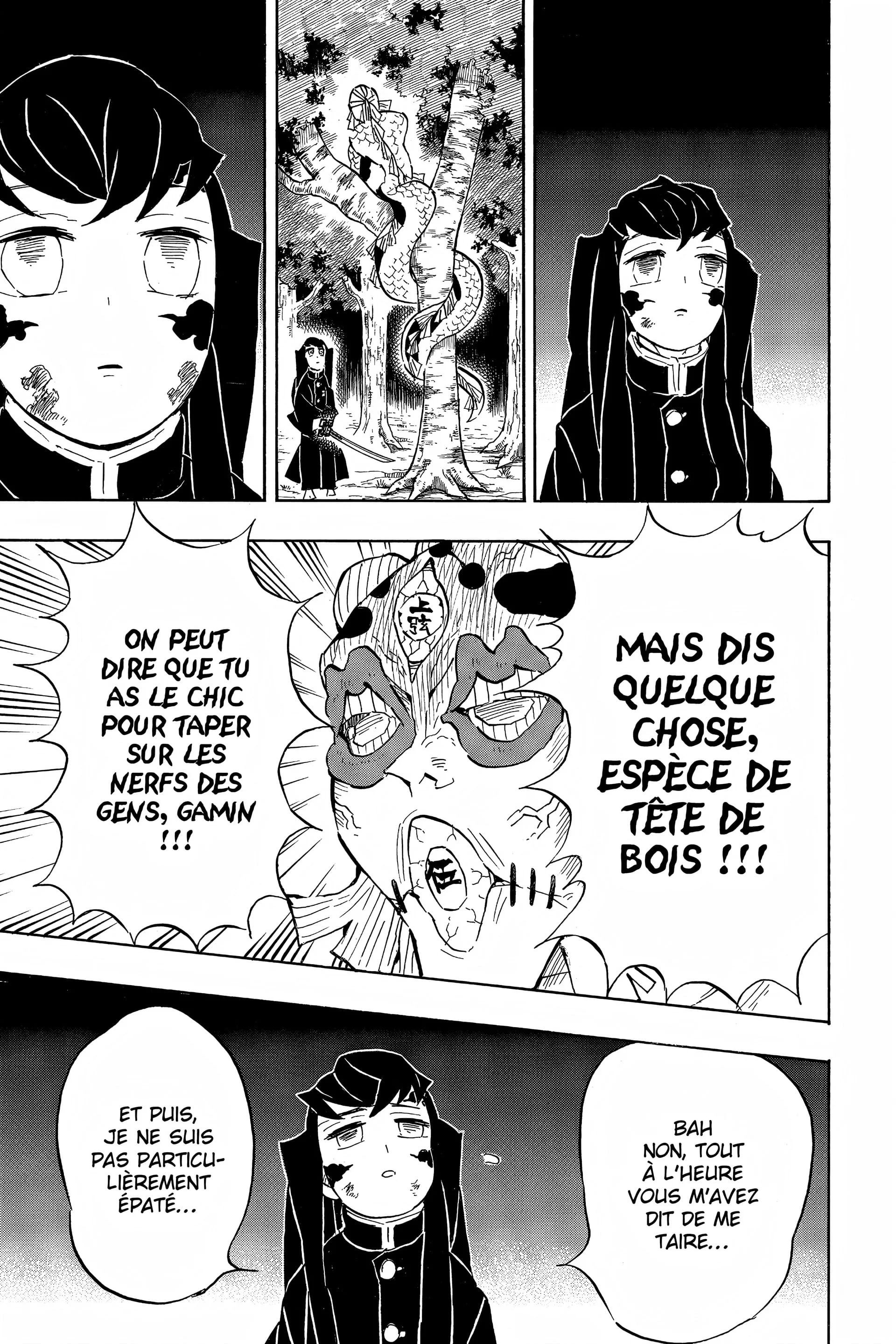 Read Demon Slayer FR Manga Online