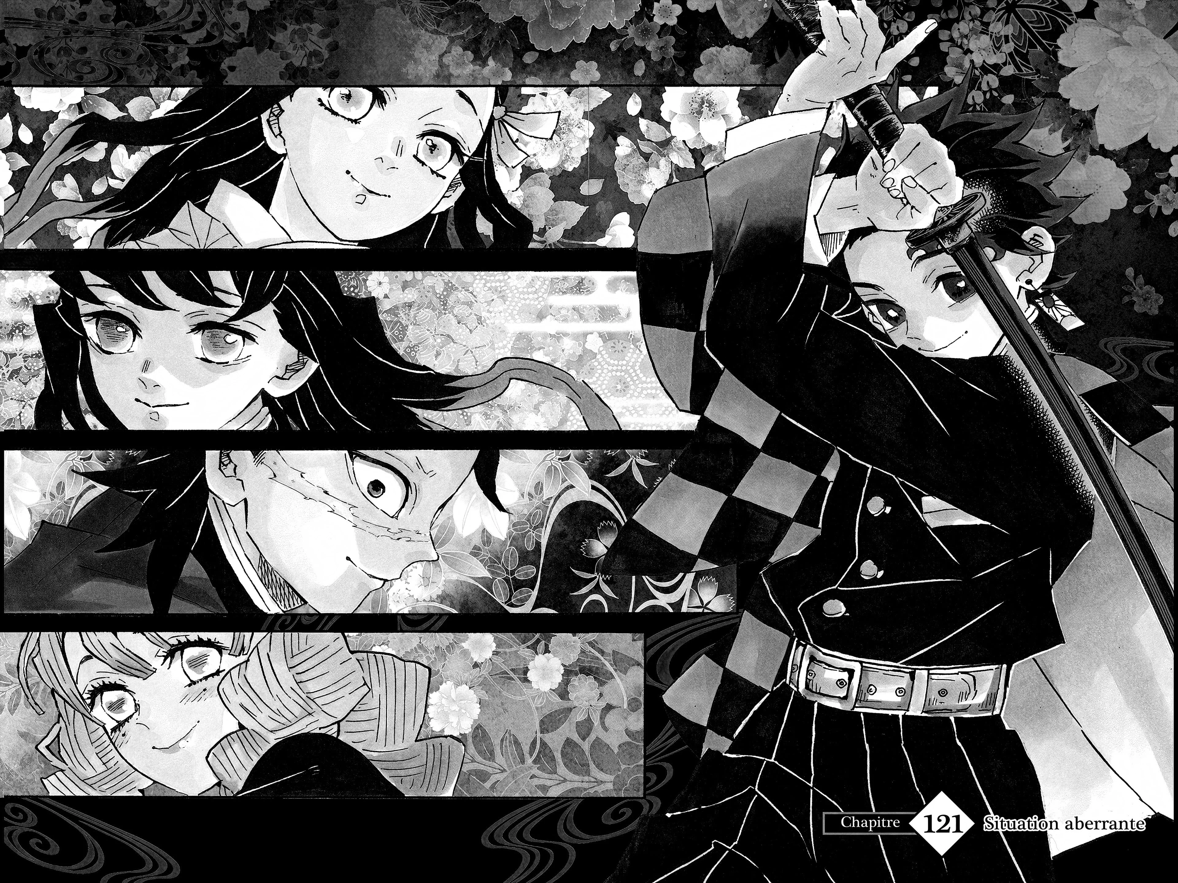 Read Demon Slayer FR Manga Online