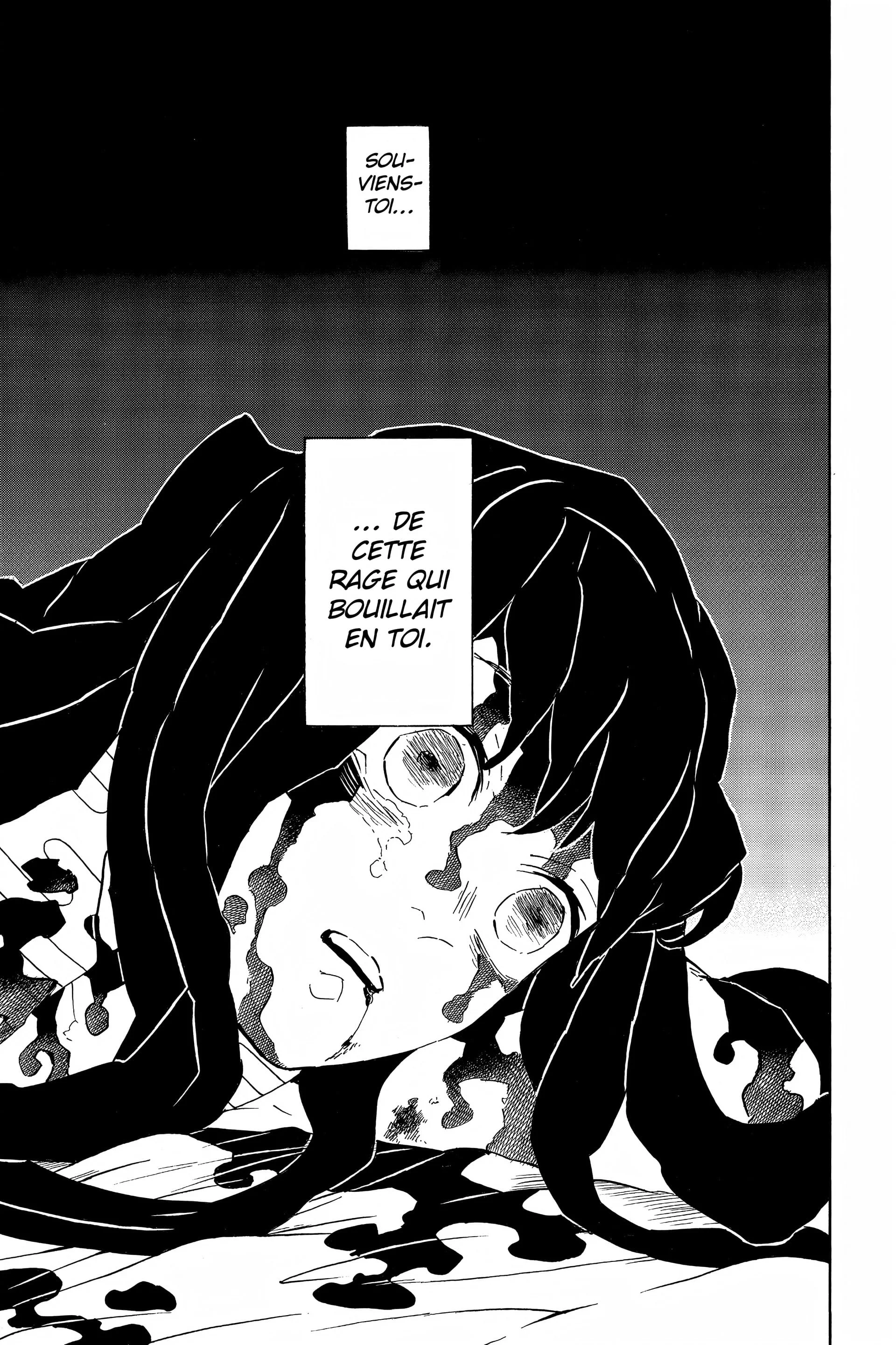 Read Demon Slayer FR Manga Online