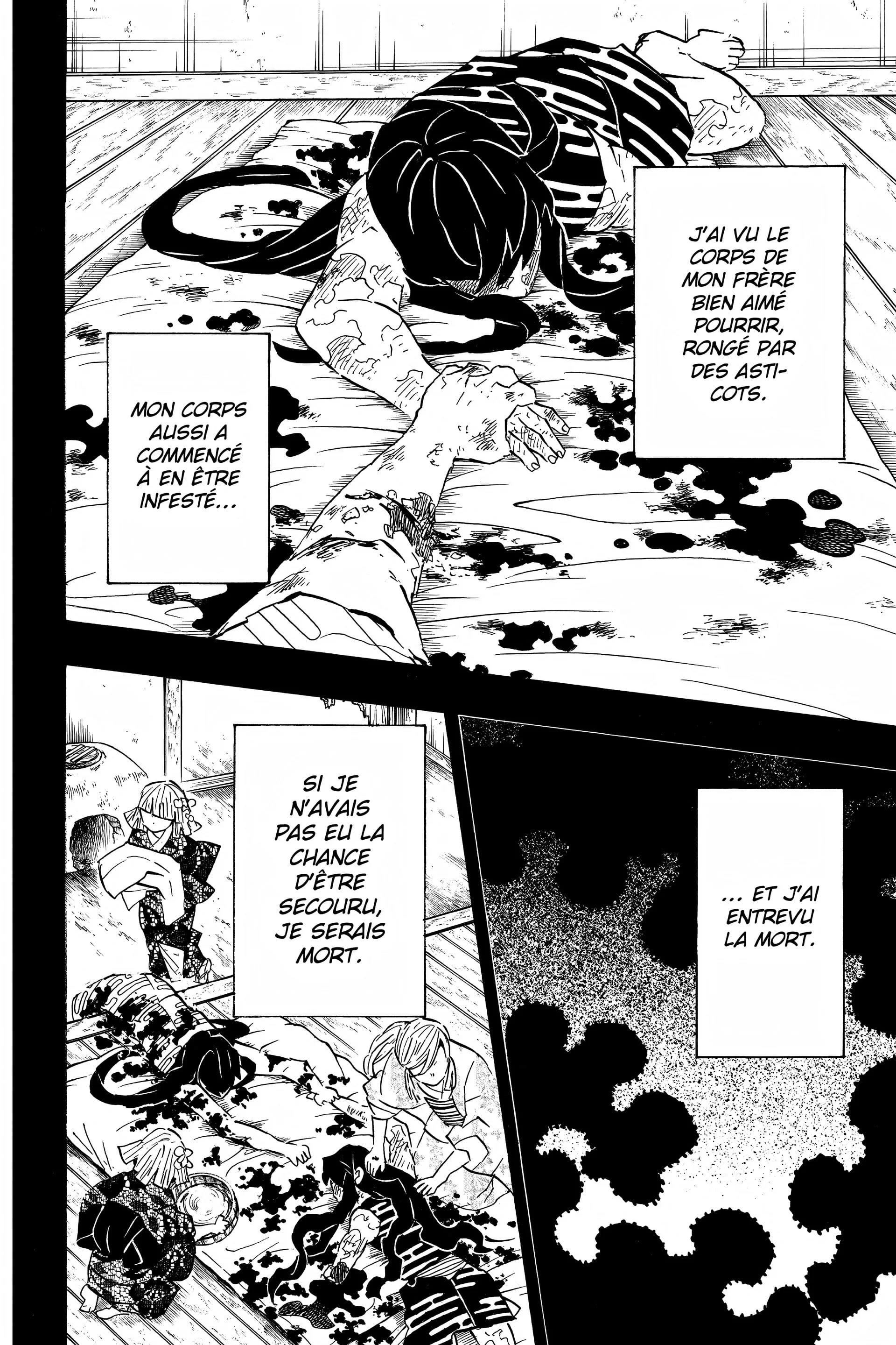 Read Demon Slayer FR Manga Online