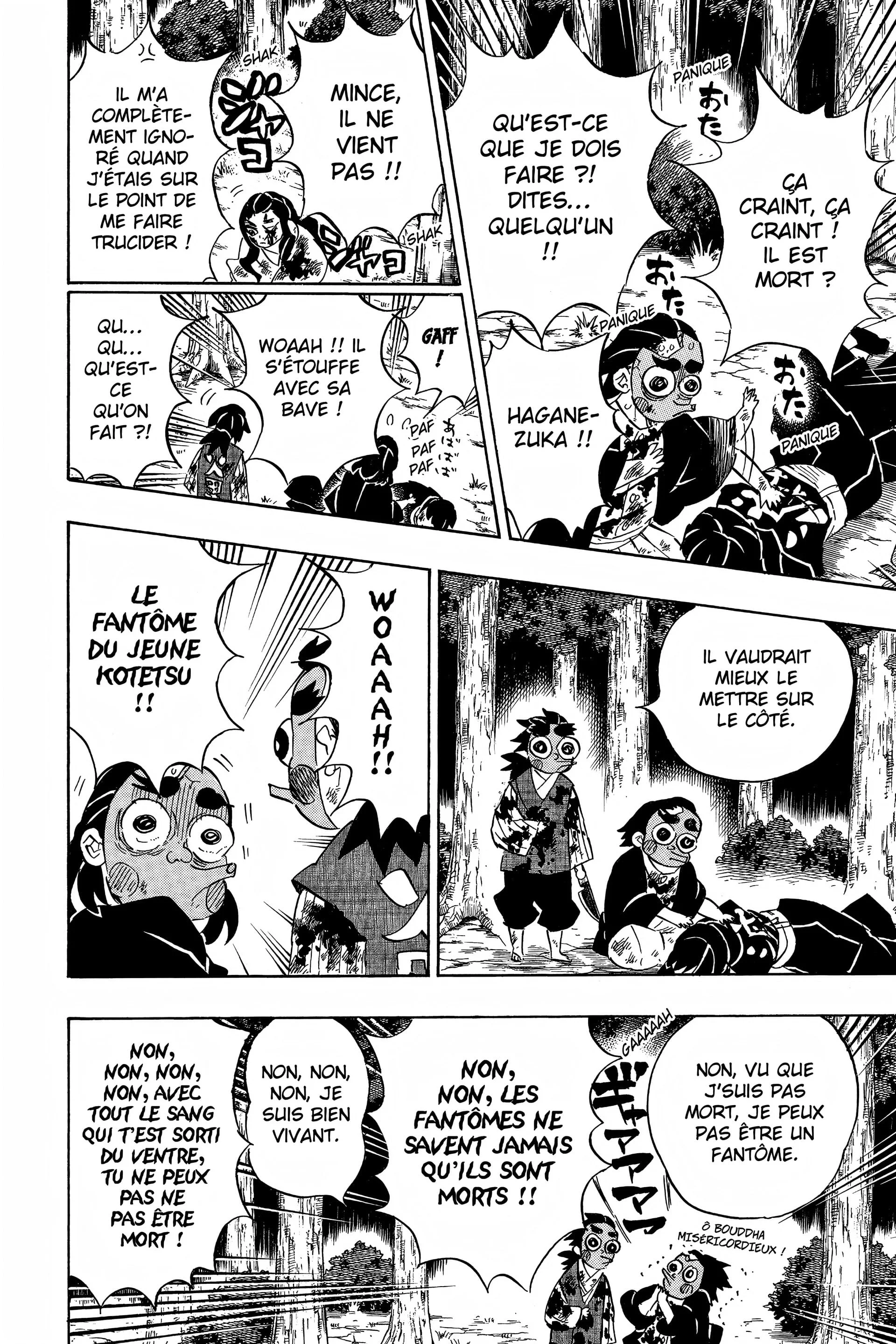 Read Demon Slayer FR Manga Online