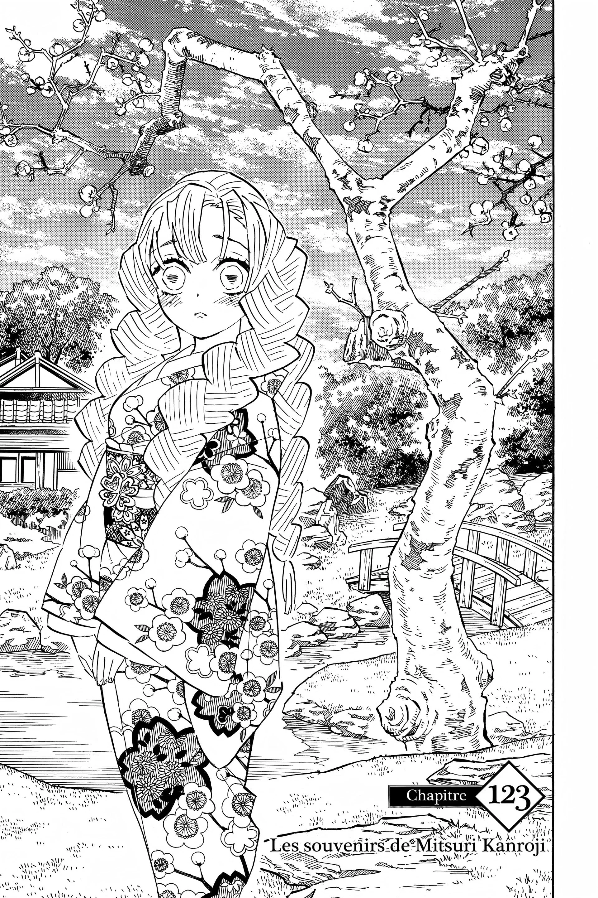 Read Demon Slayer FR Manga Online