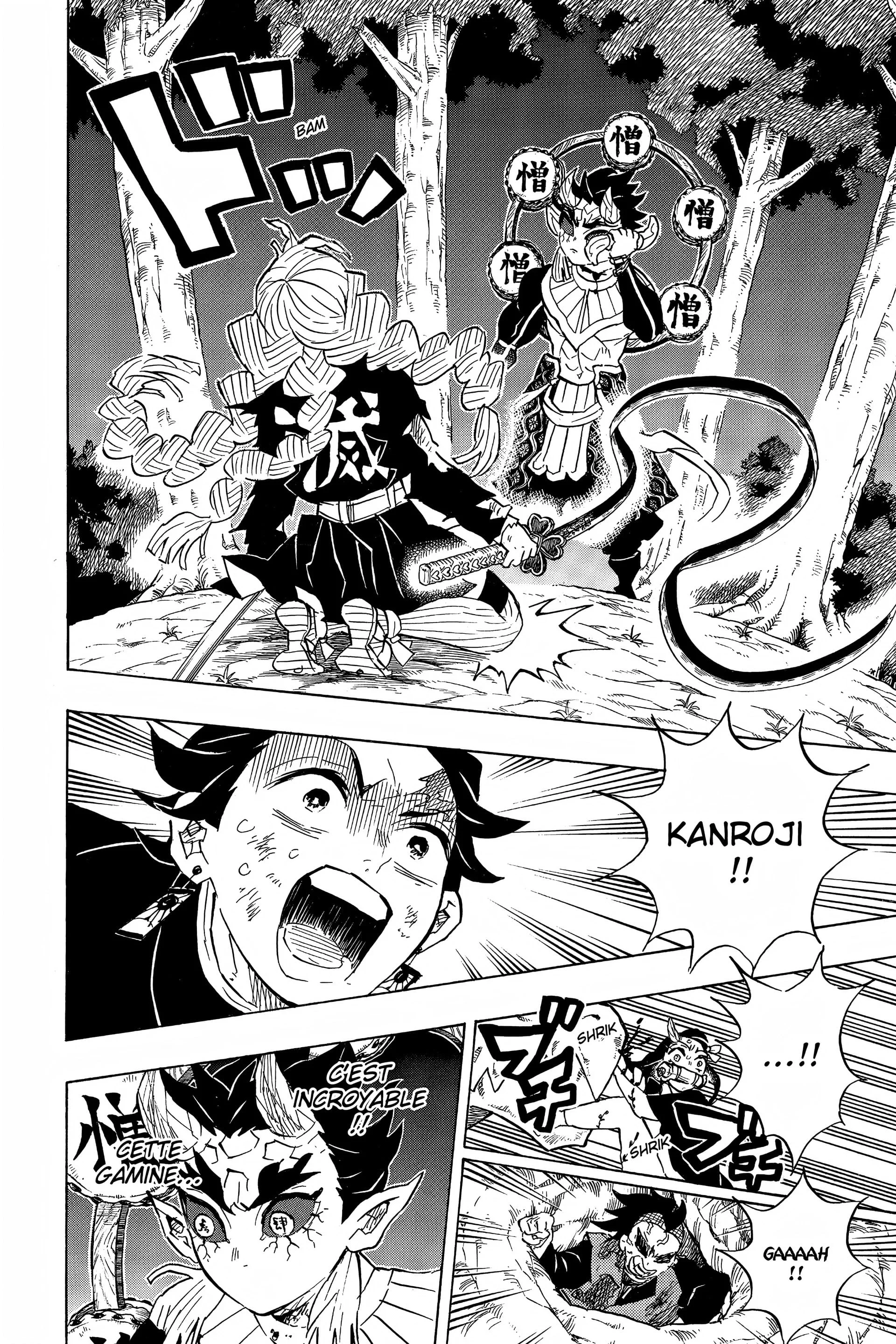 Read Demon Slayer FR Manga Online