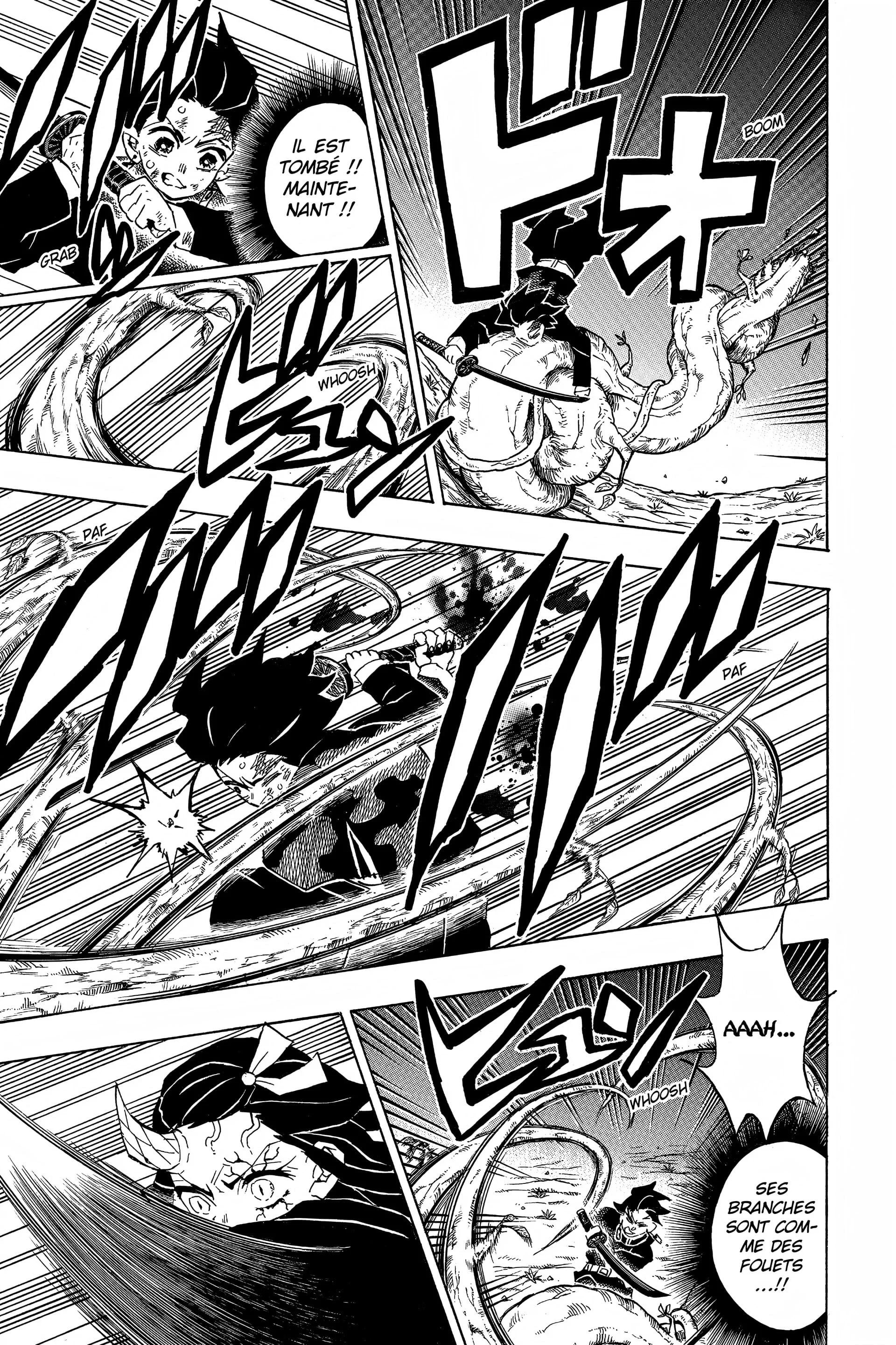 Read Demon Slayer FR Manga Online