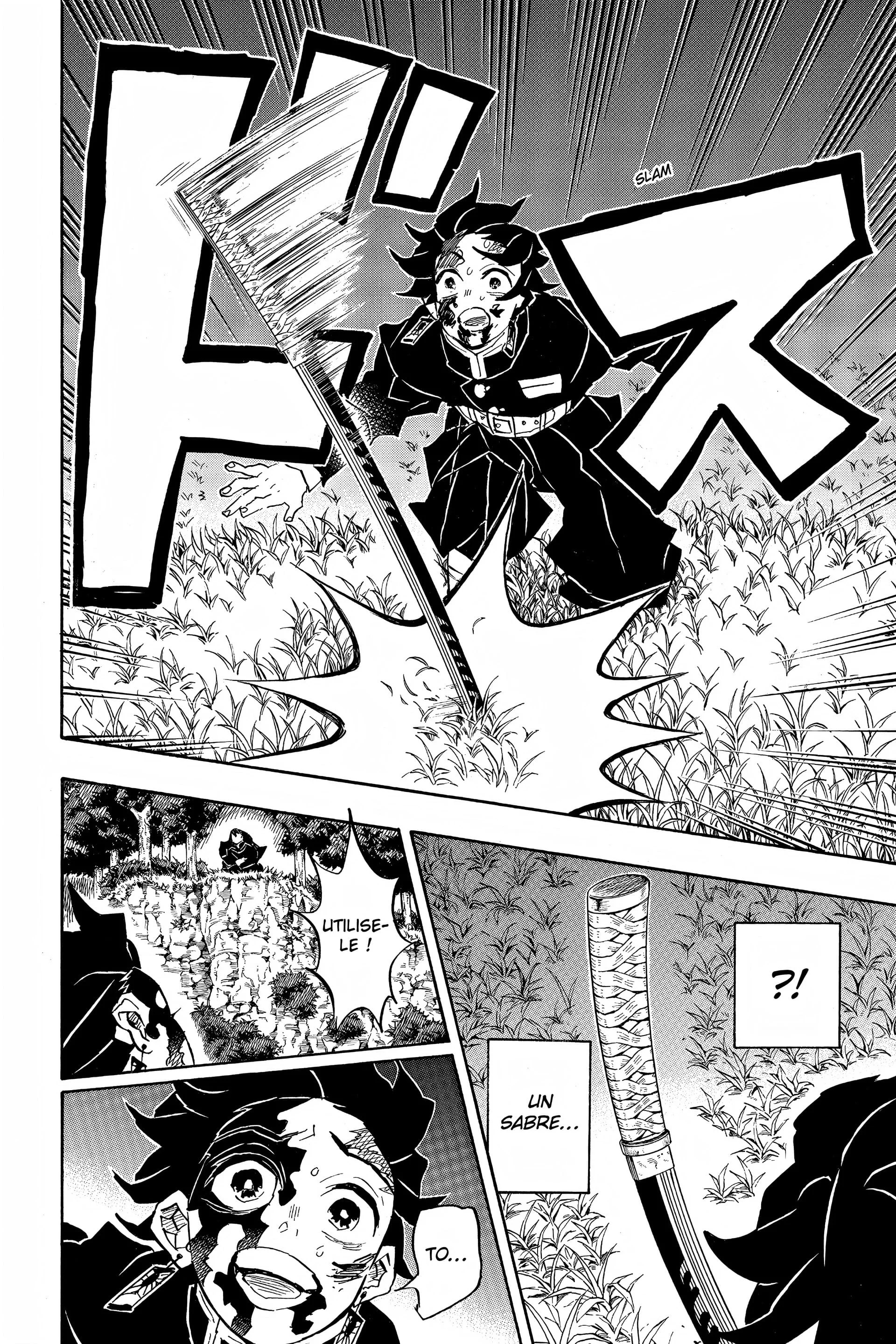 Read Demon Slayer FR Manga Online