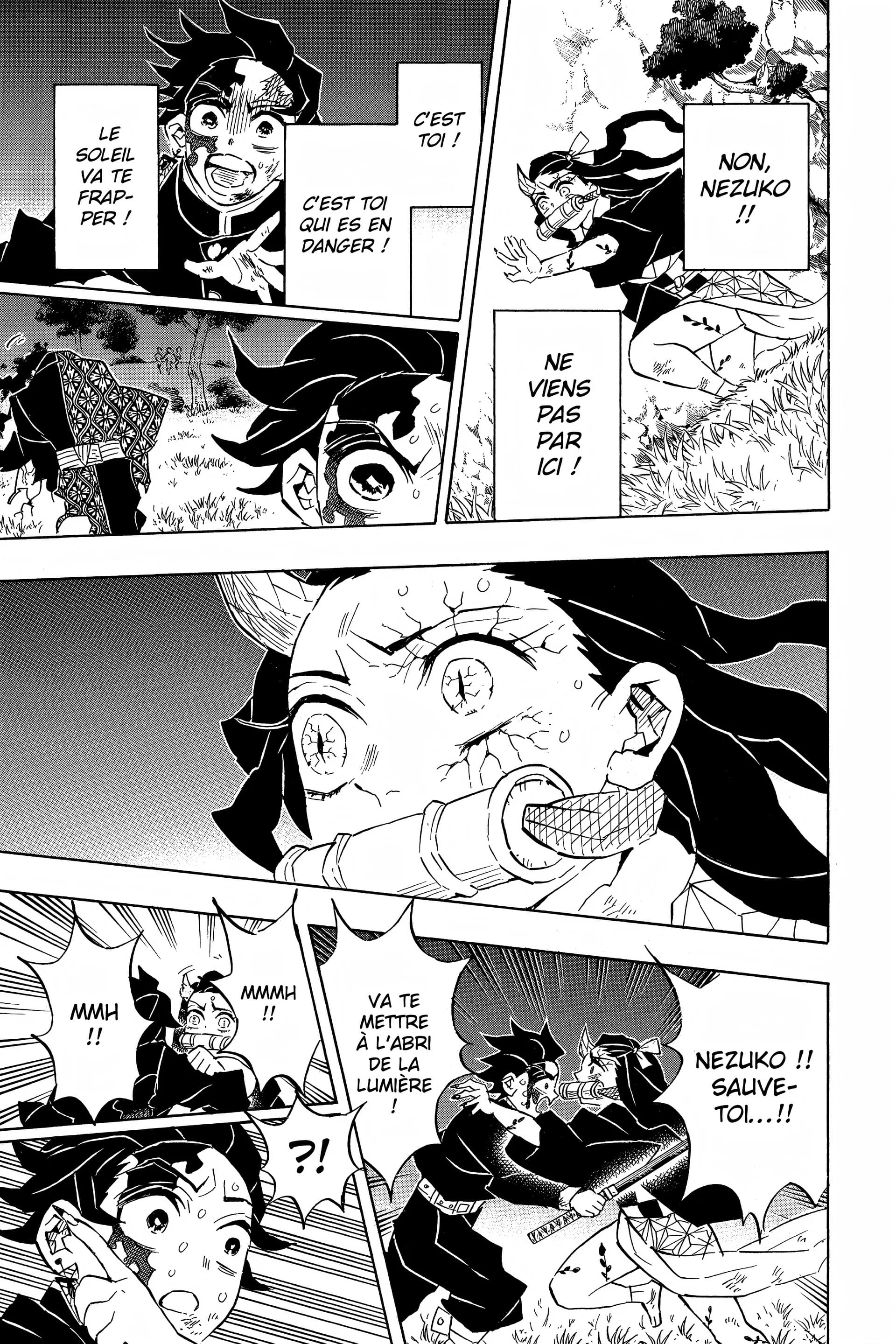 Read Demon Slayer FR Manga Online