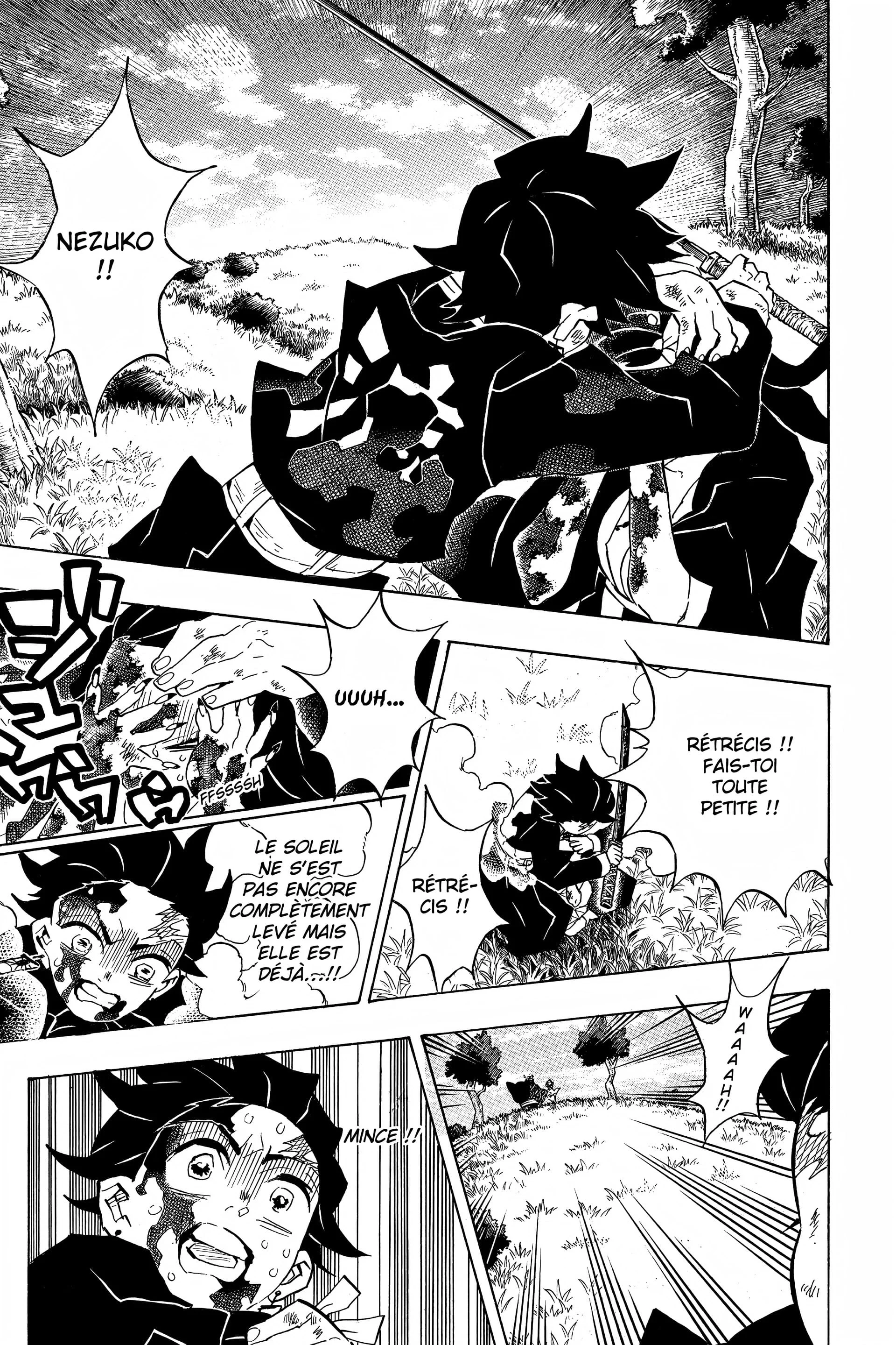 Read Demon Slayer FR Manga Online