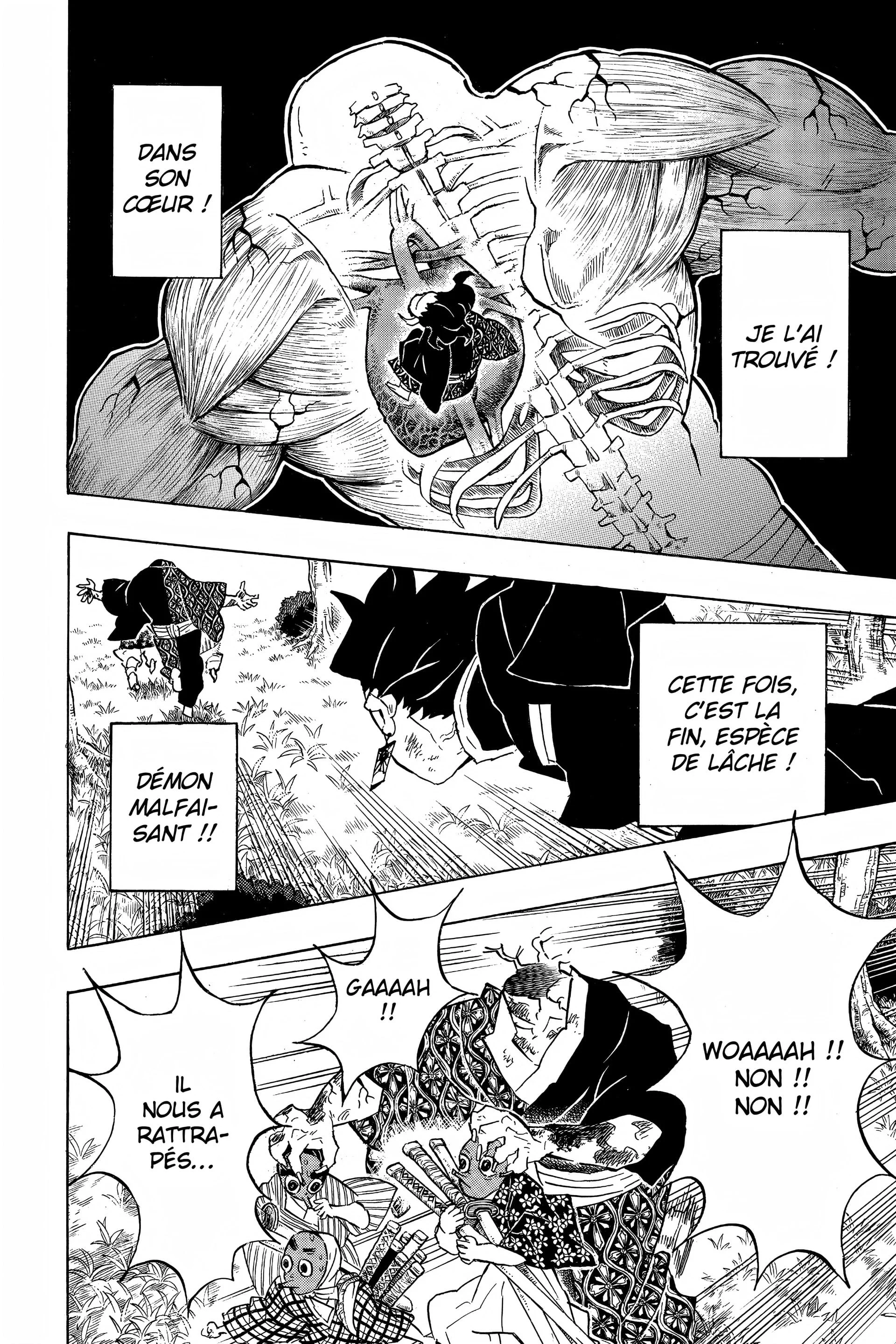 Read Demon Slayer FR Manga Online