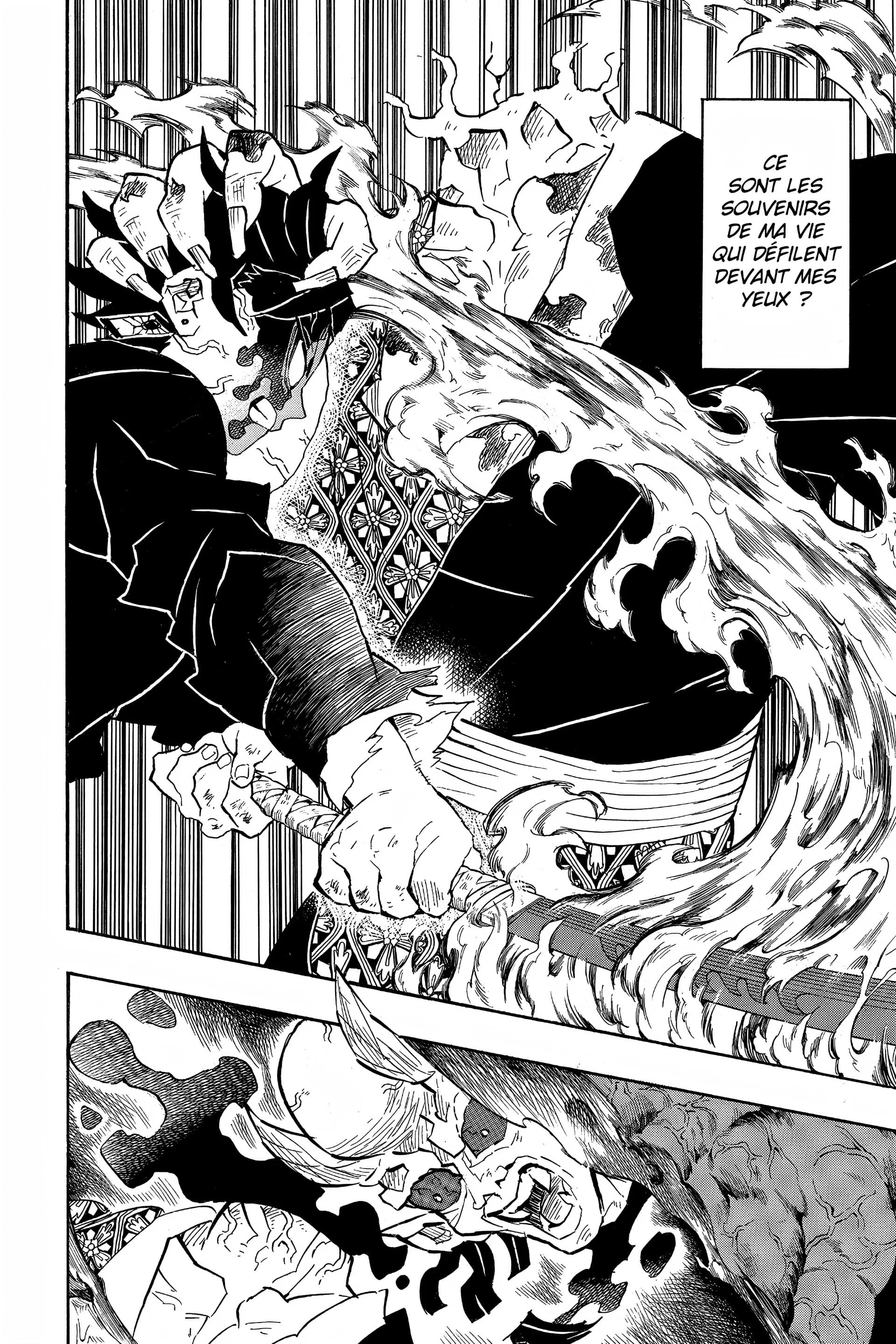Read Demon Slayer FR Manga Online