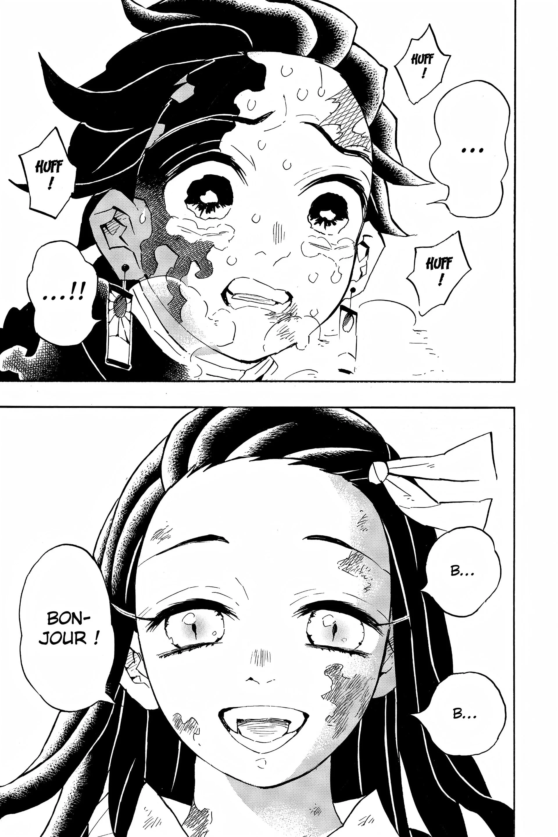 Read Demon Slayer FR Manga Online