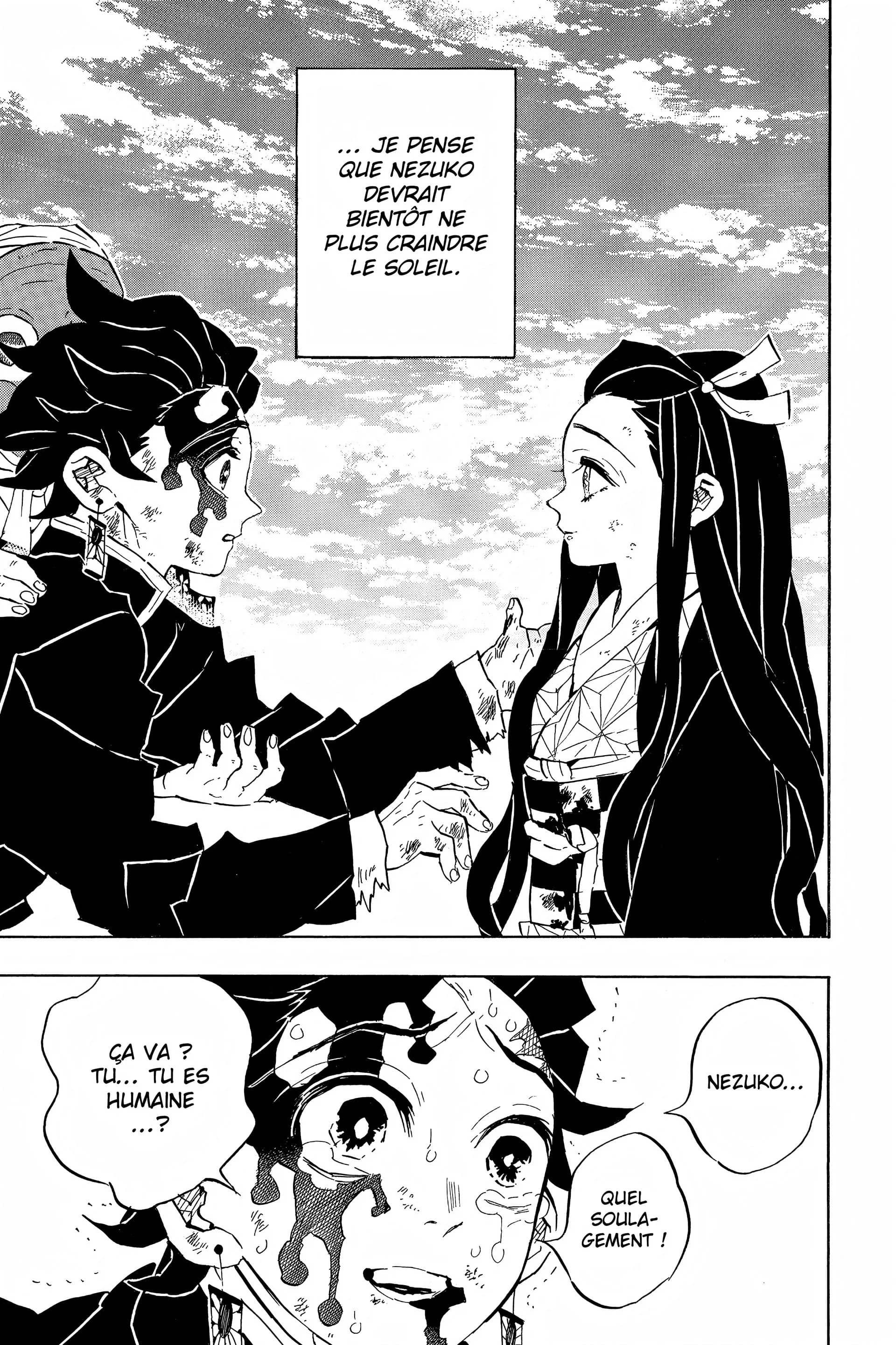 Read Demon Slayer FR Manga Online