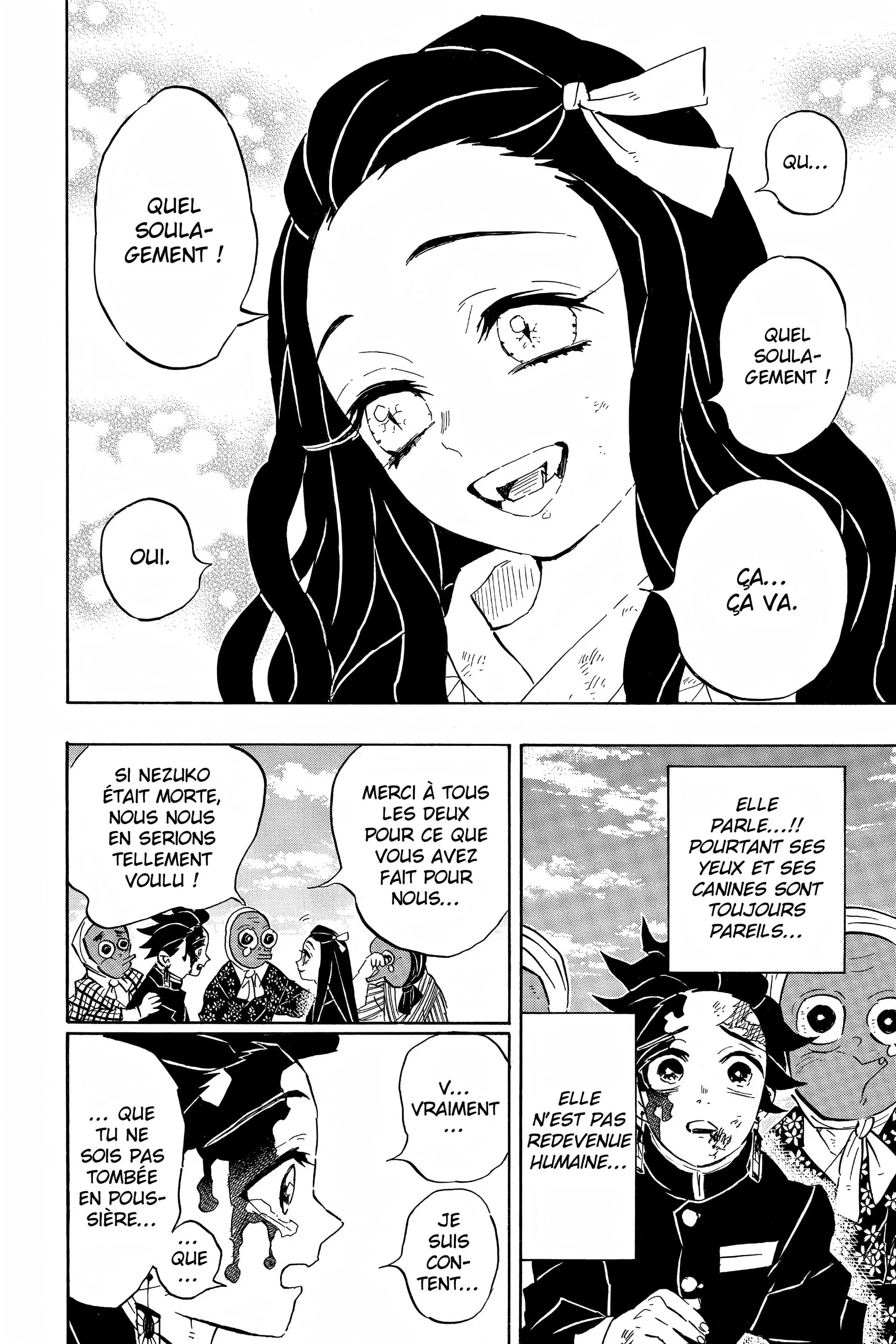 Read Demon Slayer FR Manga Online