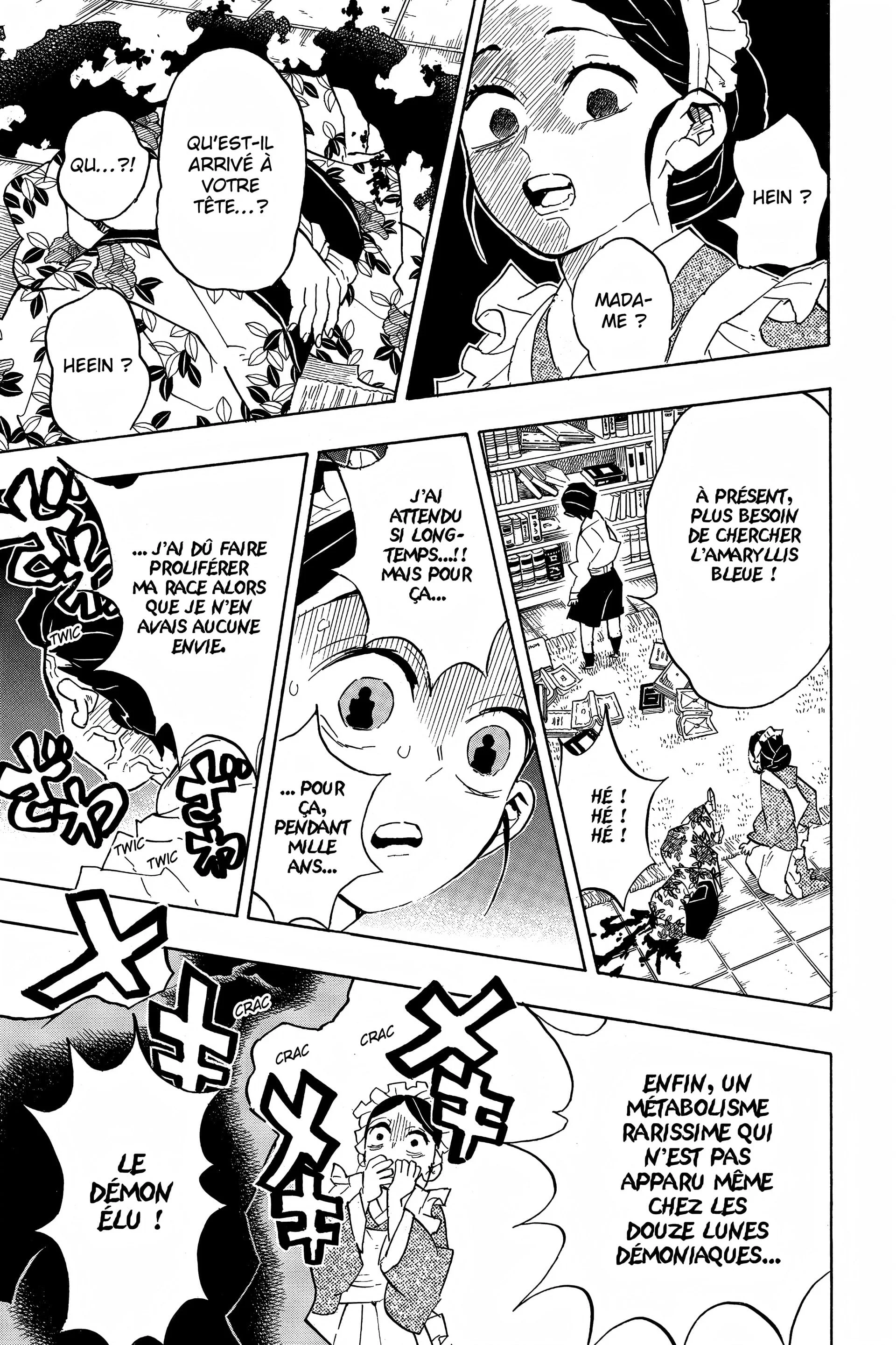 Read Demon Slayer FR Manga Online