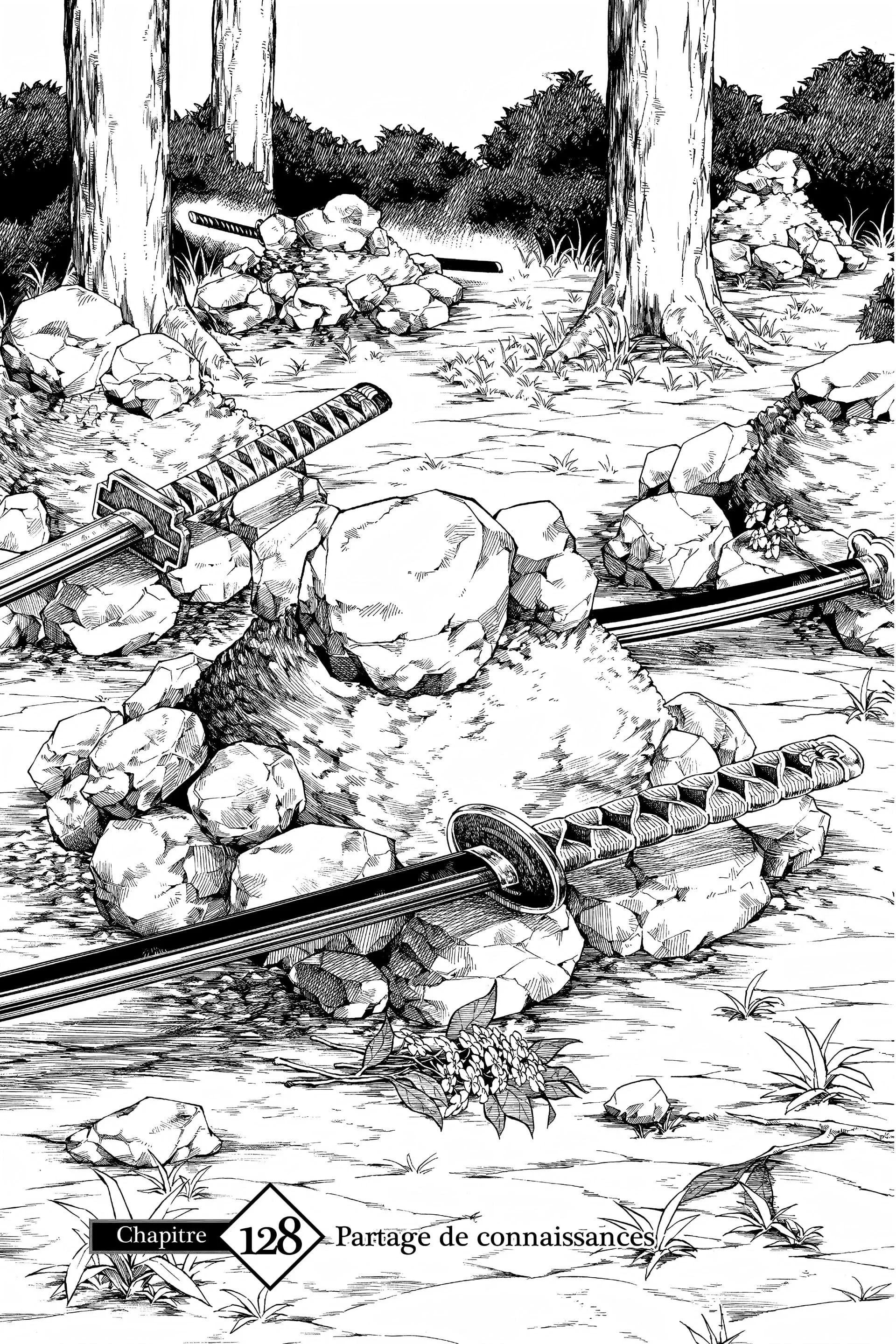 Read Demon Slayer FR Manga Online