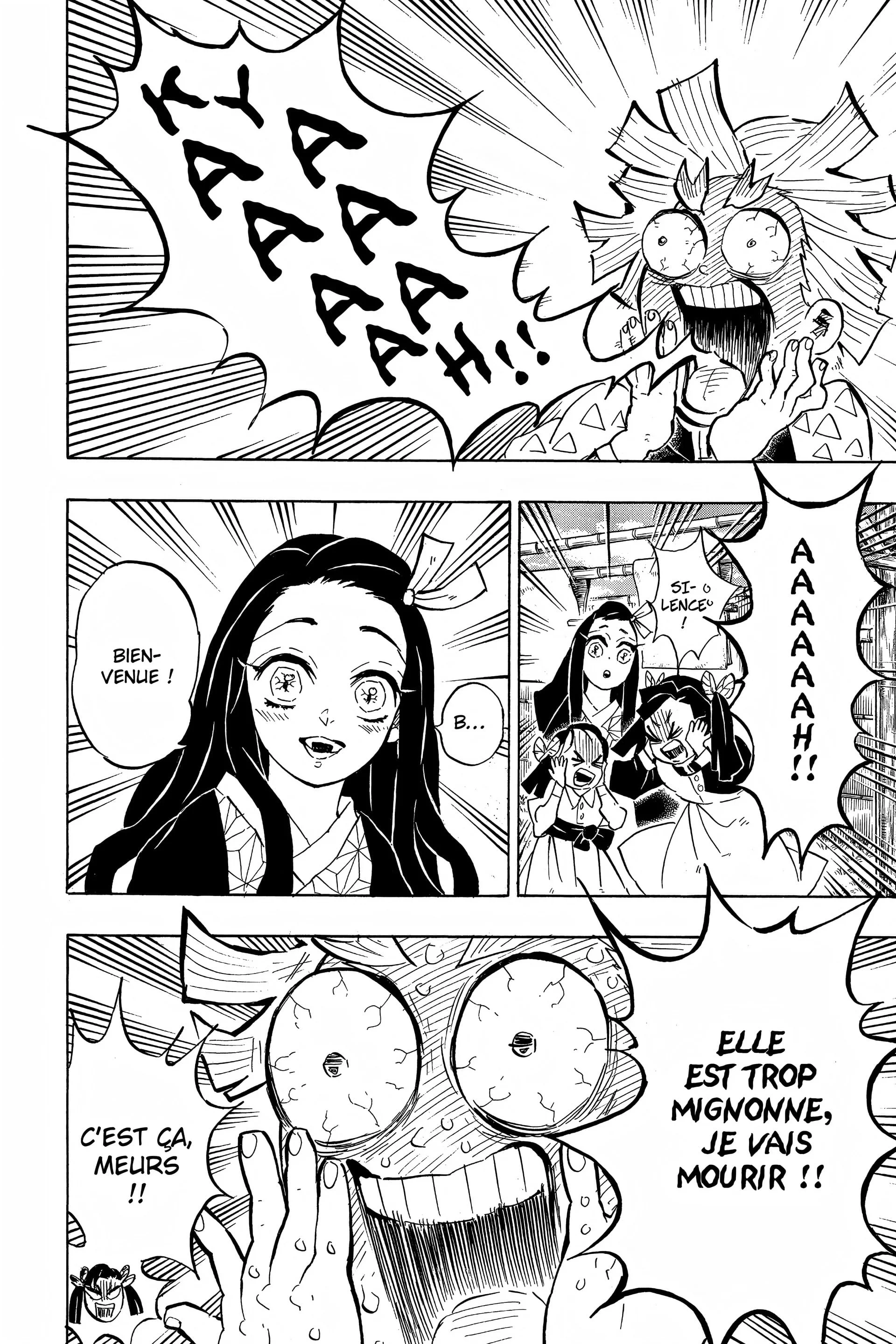 Read Demon Slayer FR Manga Online