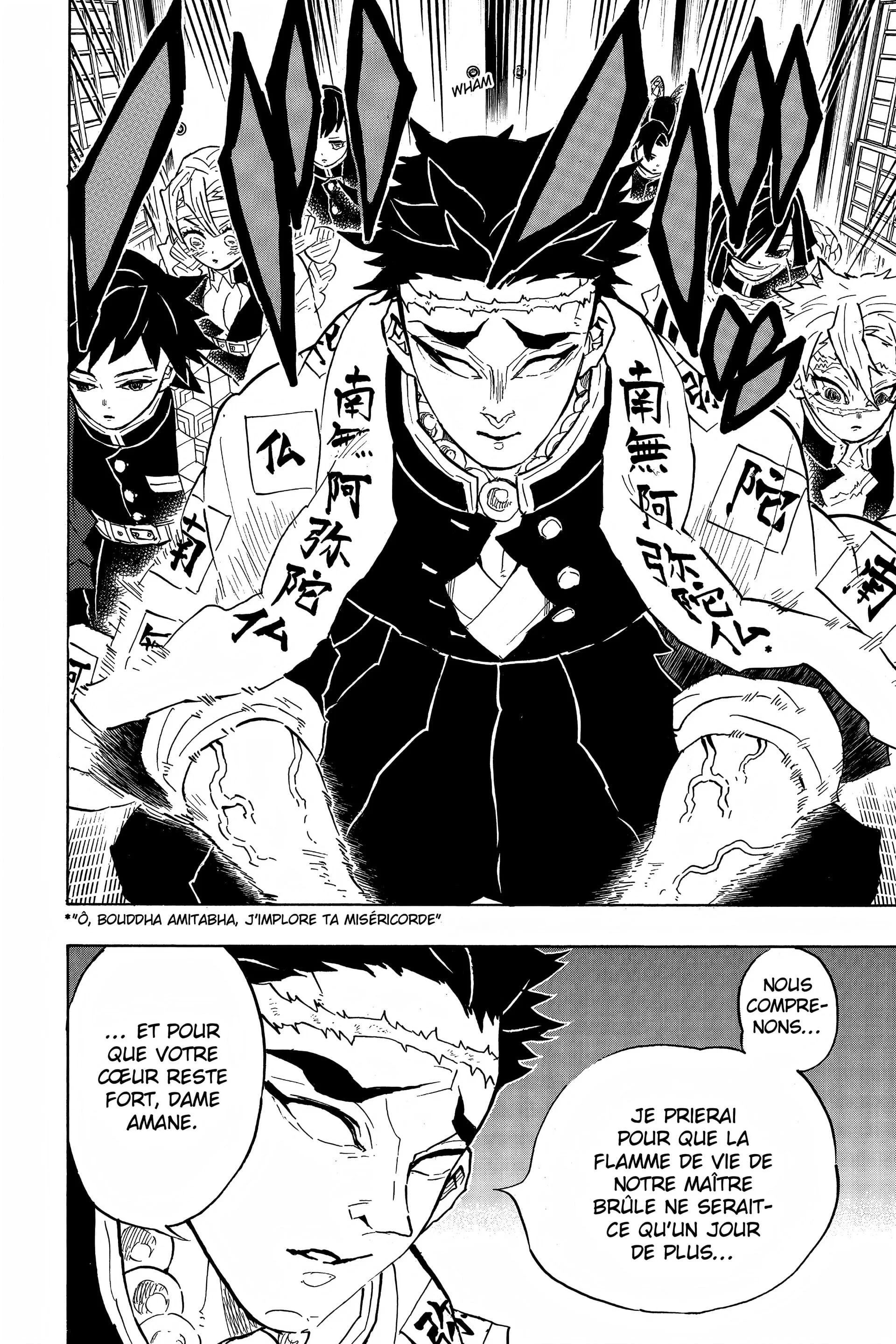 Read Demon Slayer FR Manga Online